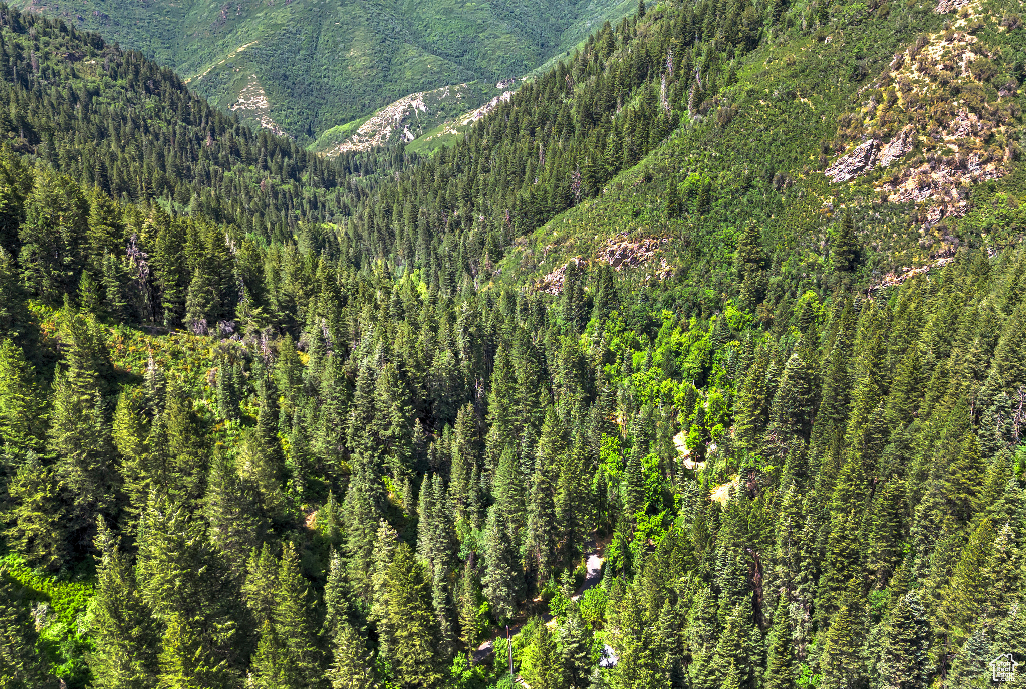 6752 E MILL CREEK CANYON RD #31