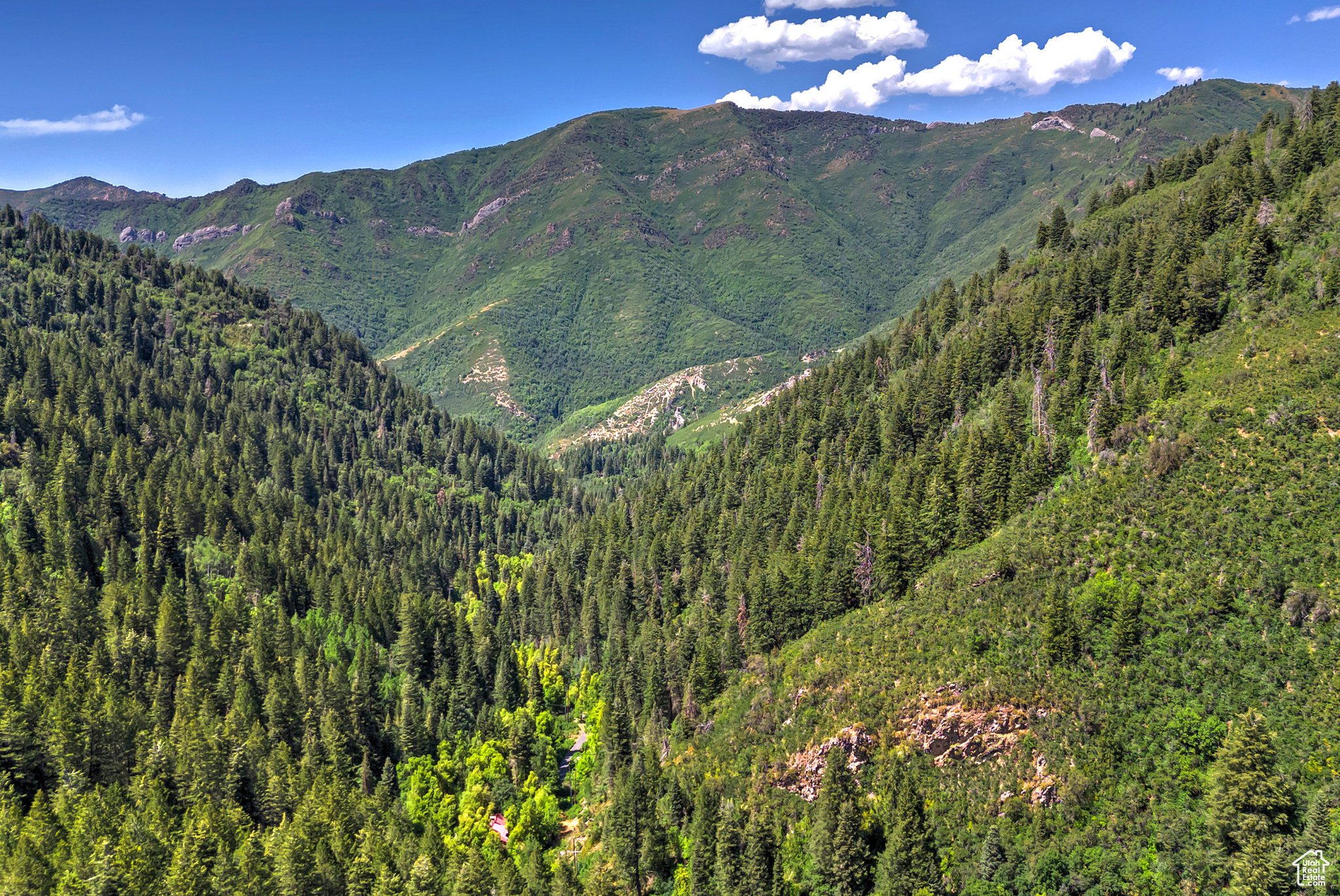 6752 E MILL CREEK CANYON RD #31