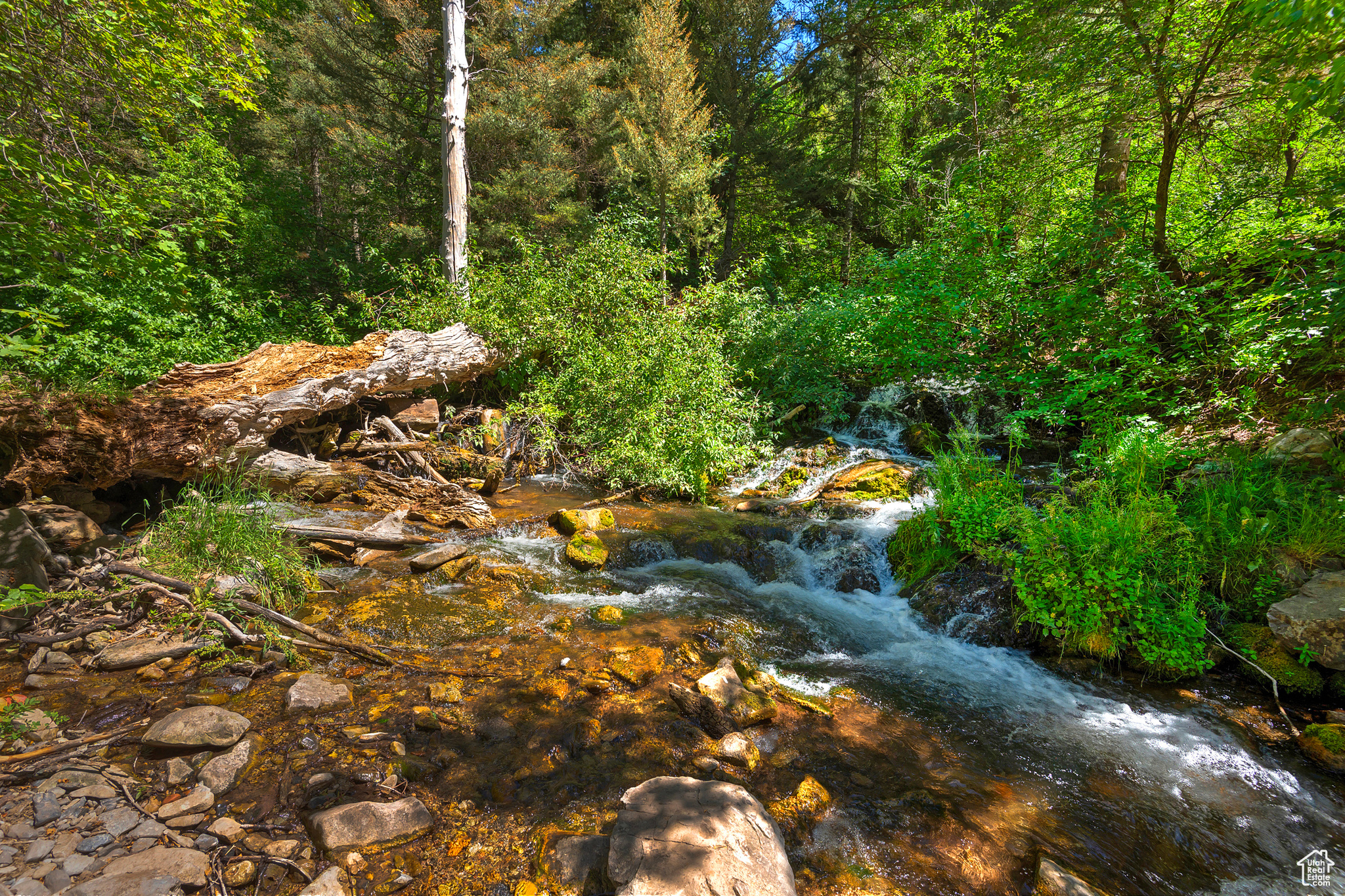 6752 E MILL CREEK CANYON RD #31