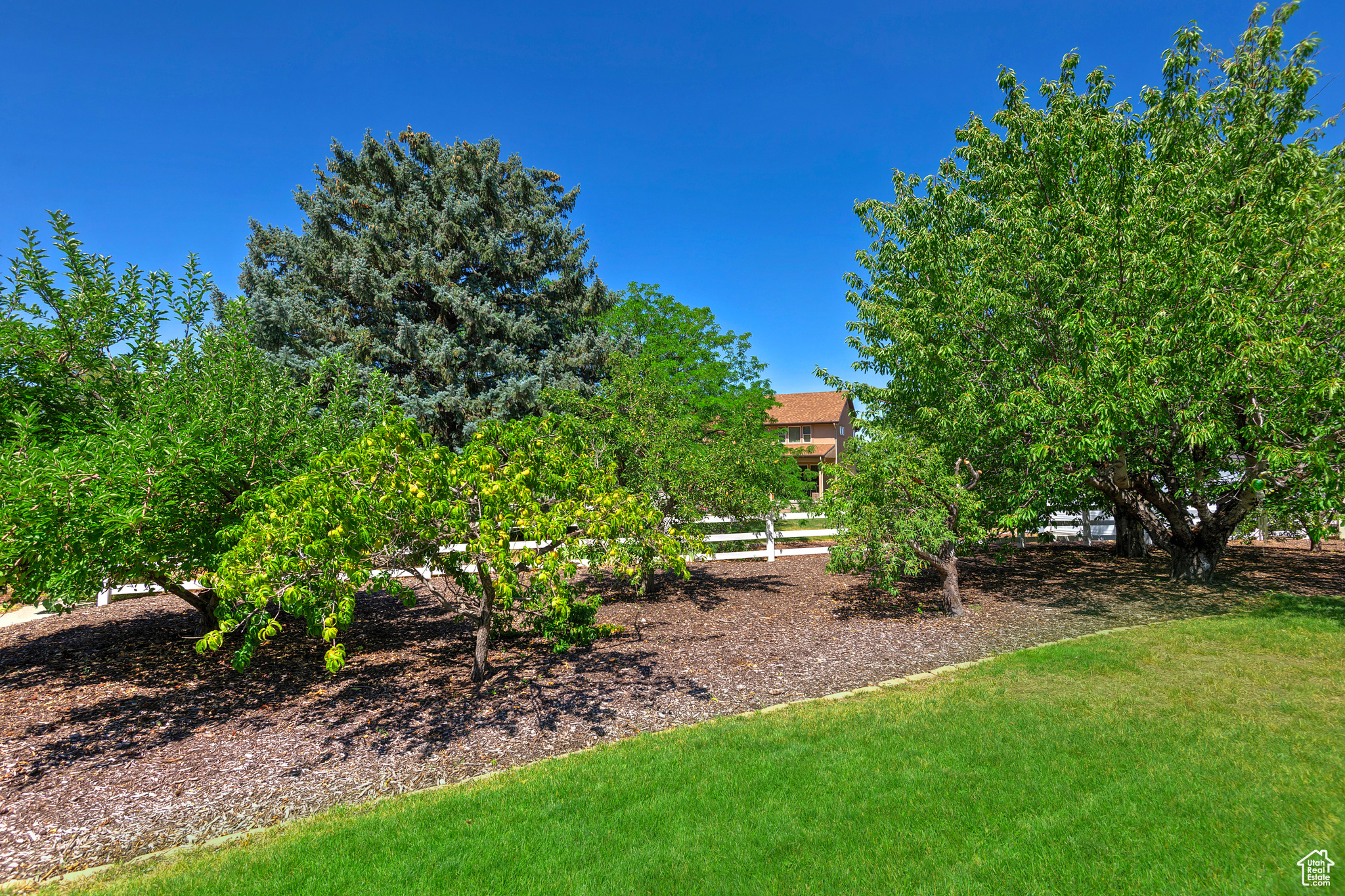 3237 WYNFORD CIR