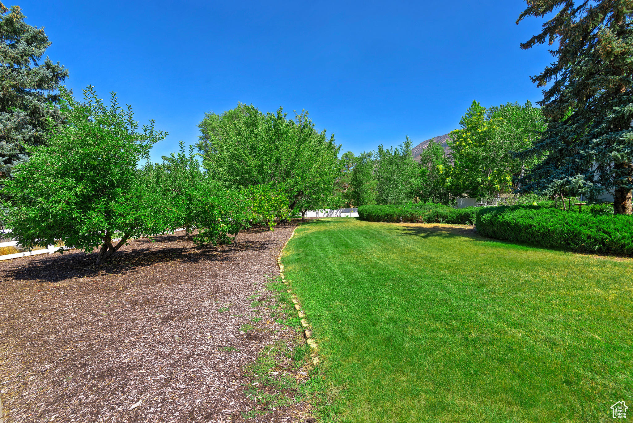 3237 WYNFORD CIR