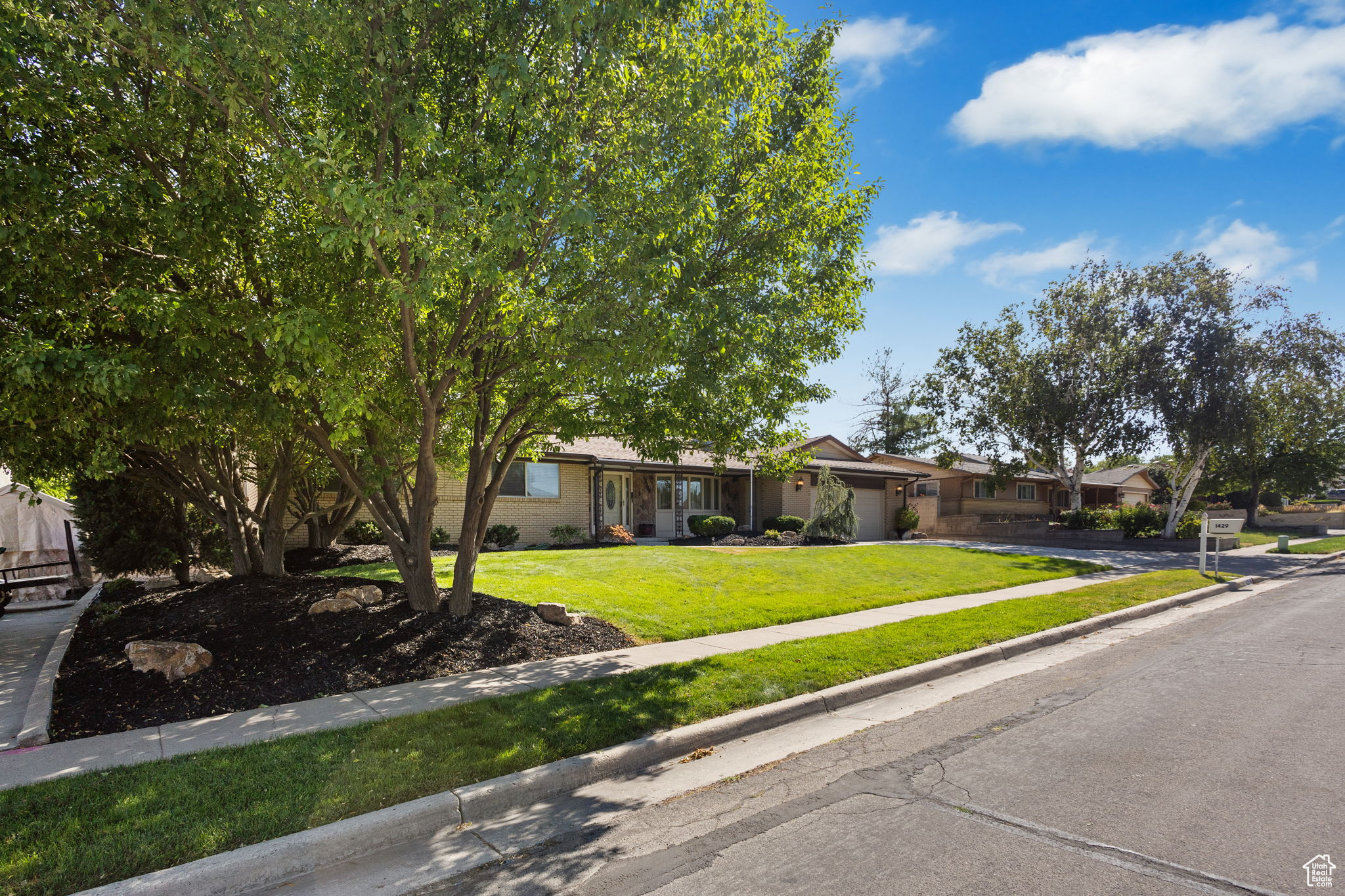 1429 CONNIE WAY
