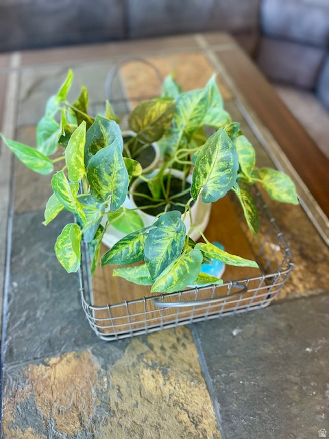 8009 S HAYDEN PARK ST