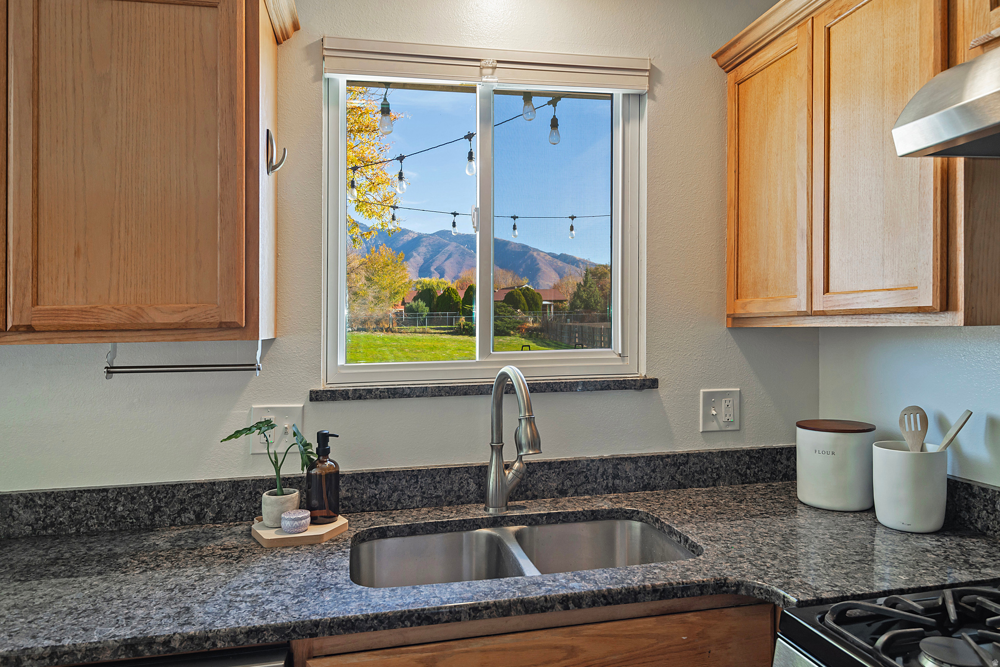 10543 S WEEPING WILLOW DR