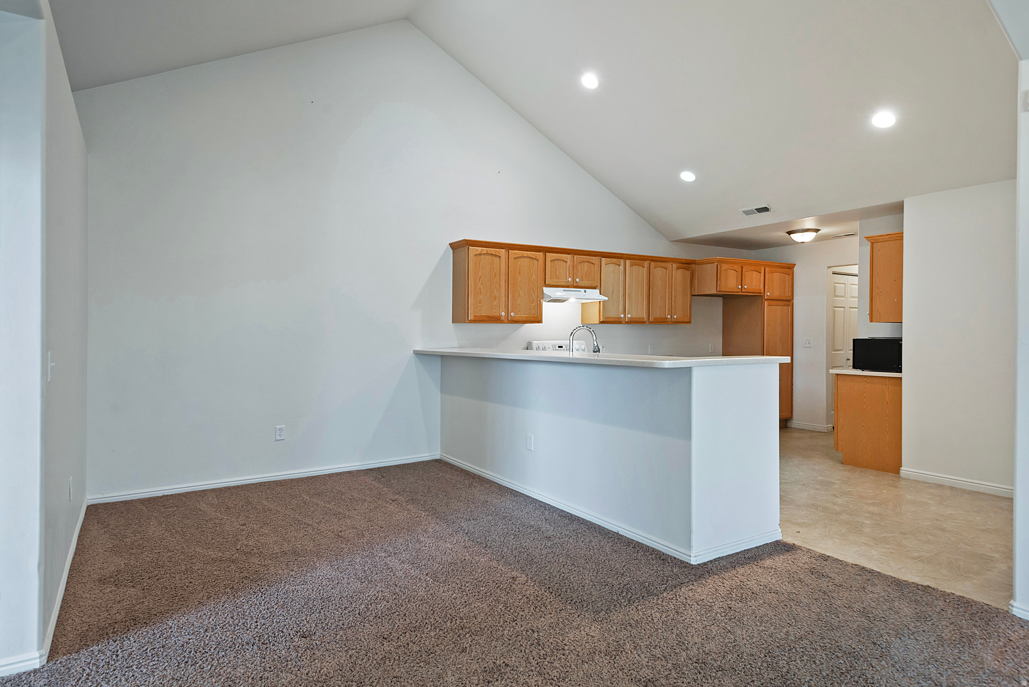 2901 W ABBEY SPRINGS CIR