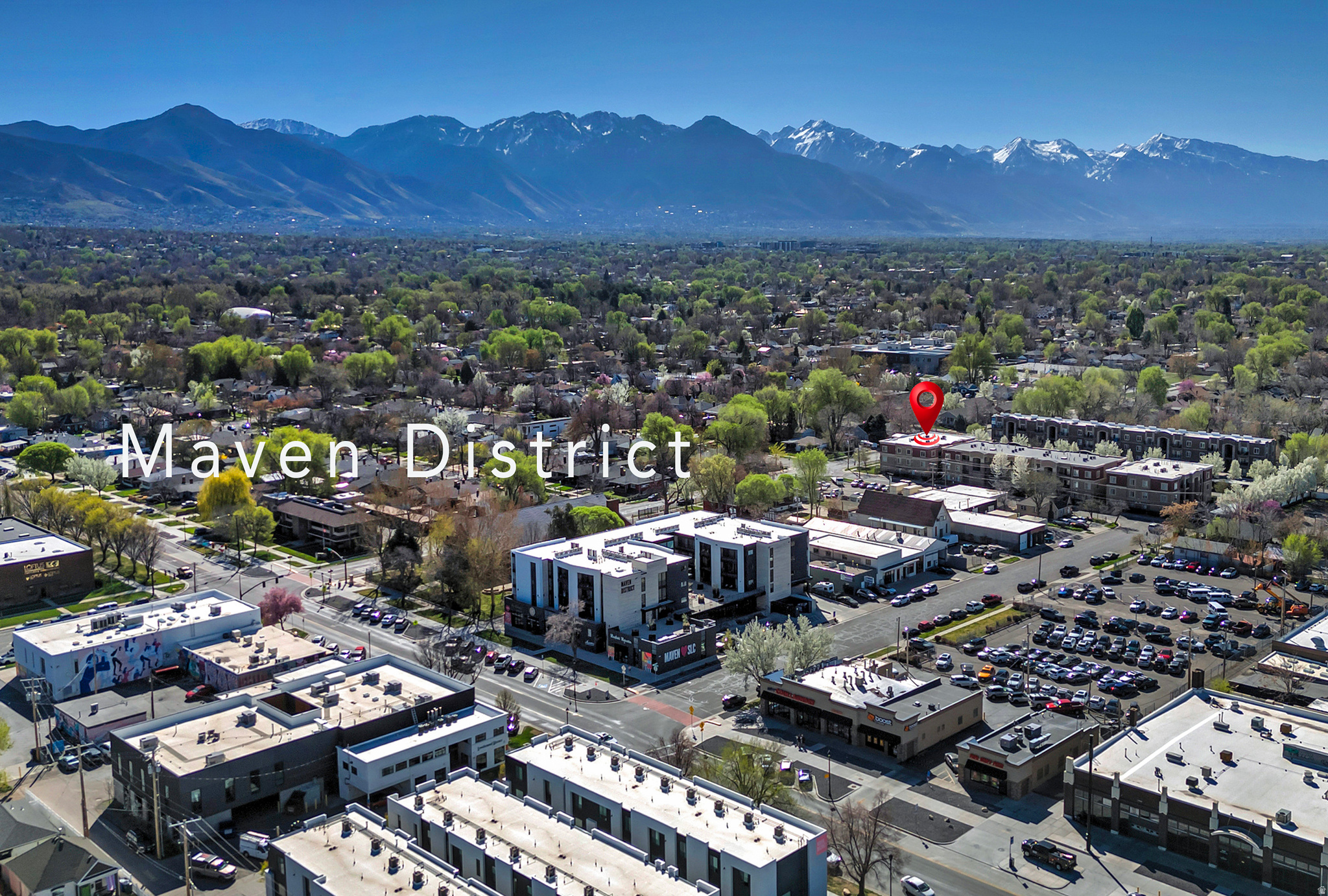 190 E BELMONT AVE #6