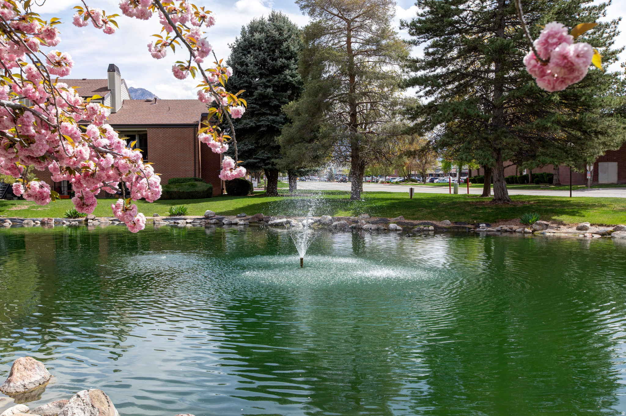 1145 E BRICKYARD RD #1205