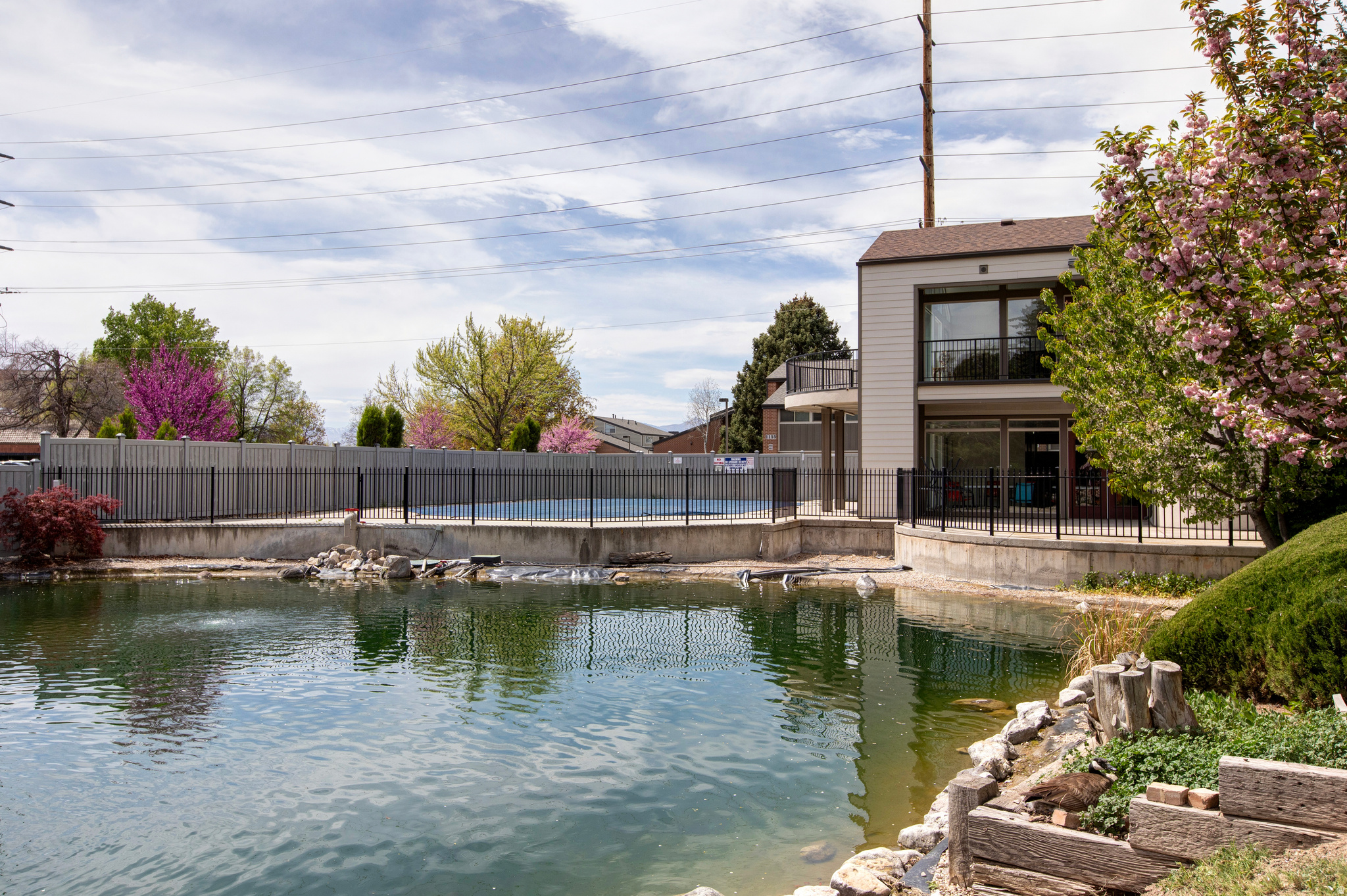 1145 E BRICKYARD RD #1205