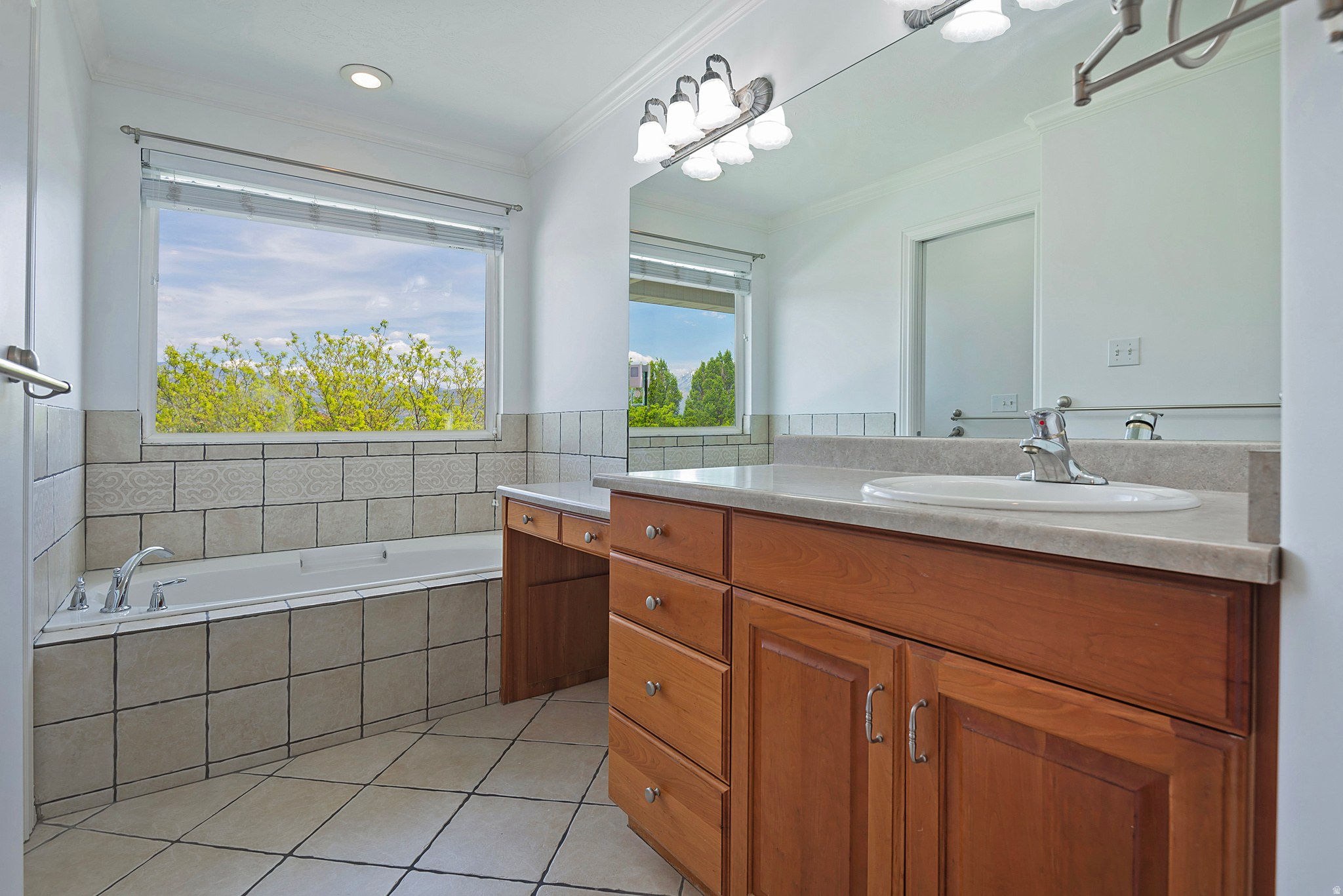 12139 S LAMPTON VIEW DR