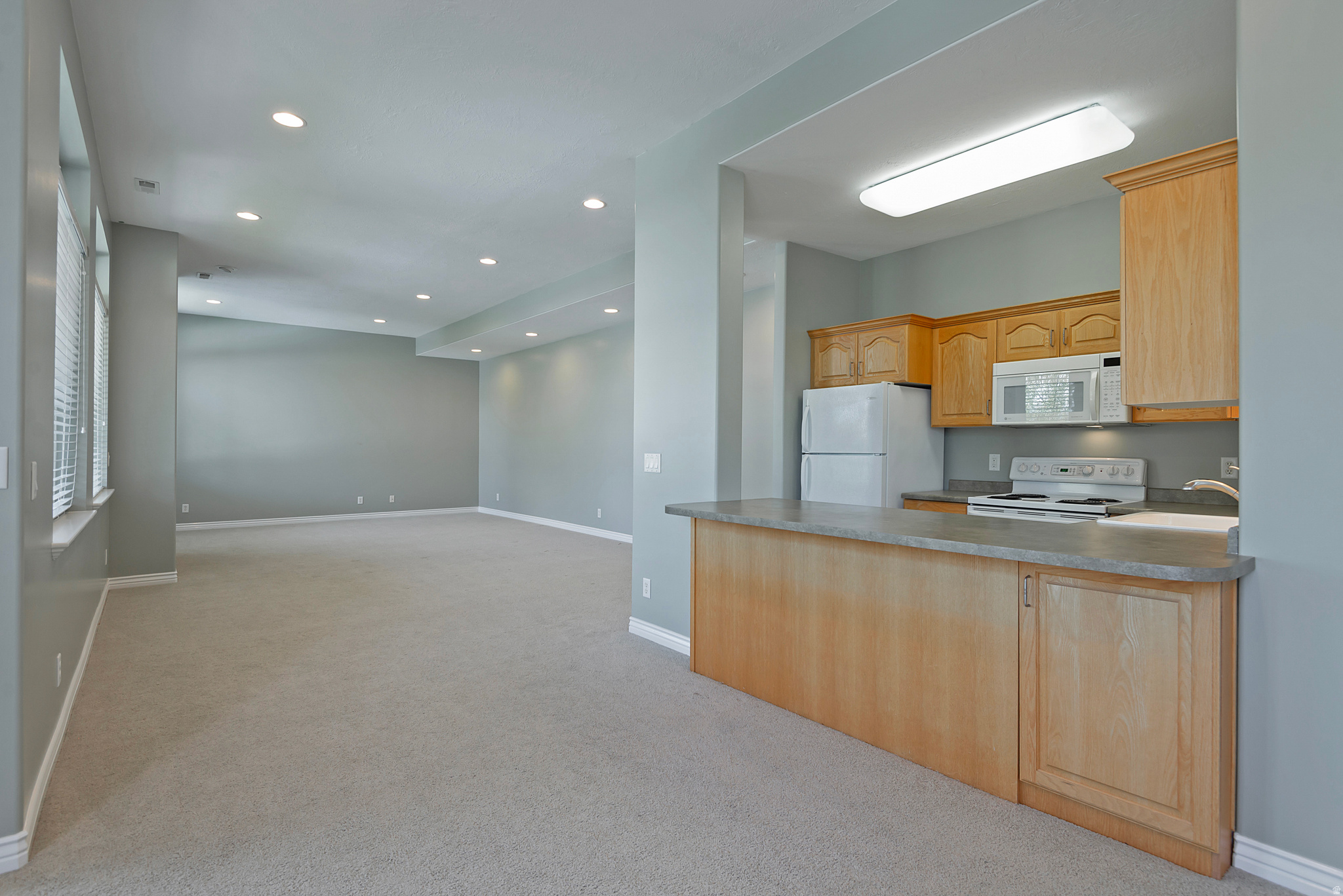 12139 S LAMPTON VIEW DR