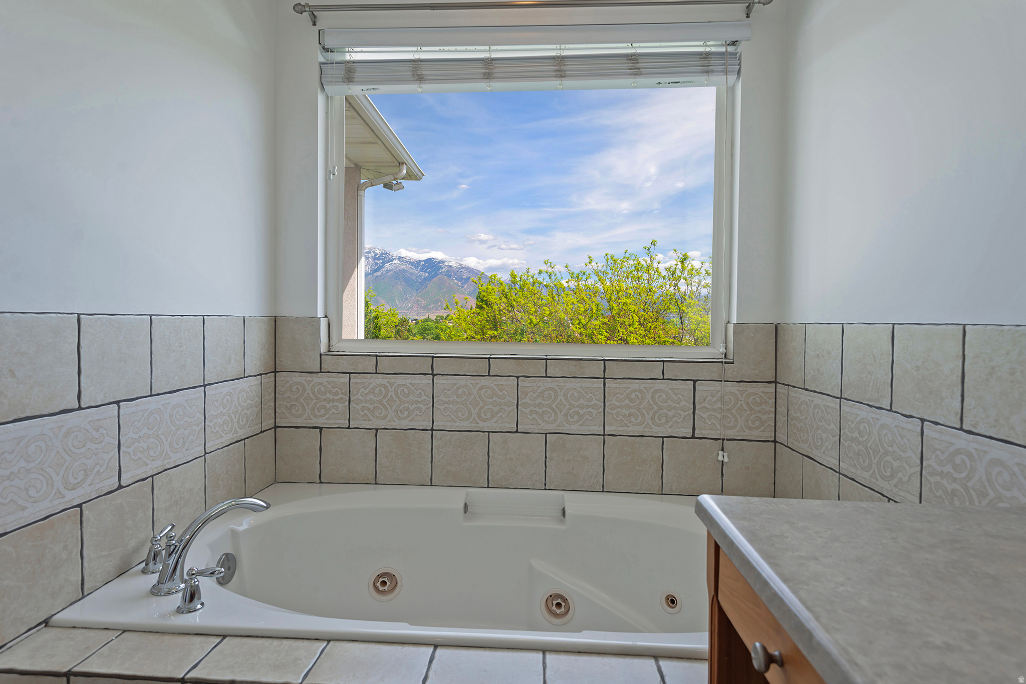 12139 S LAMPTON VIEW DR