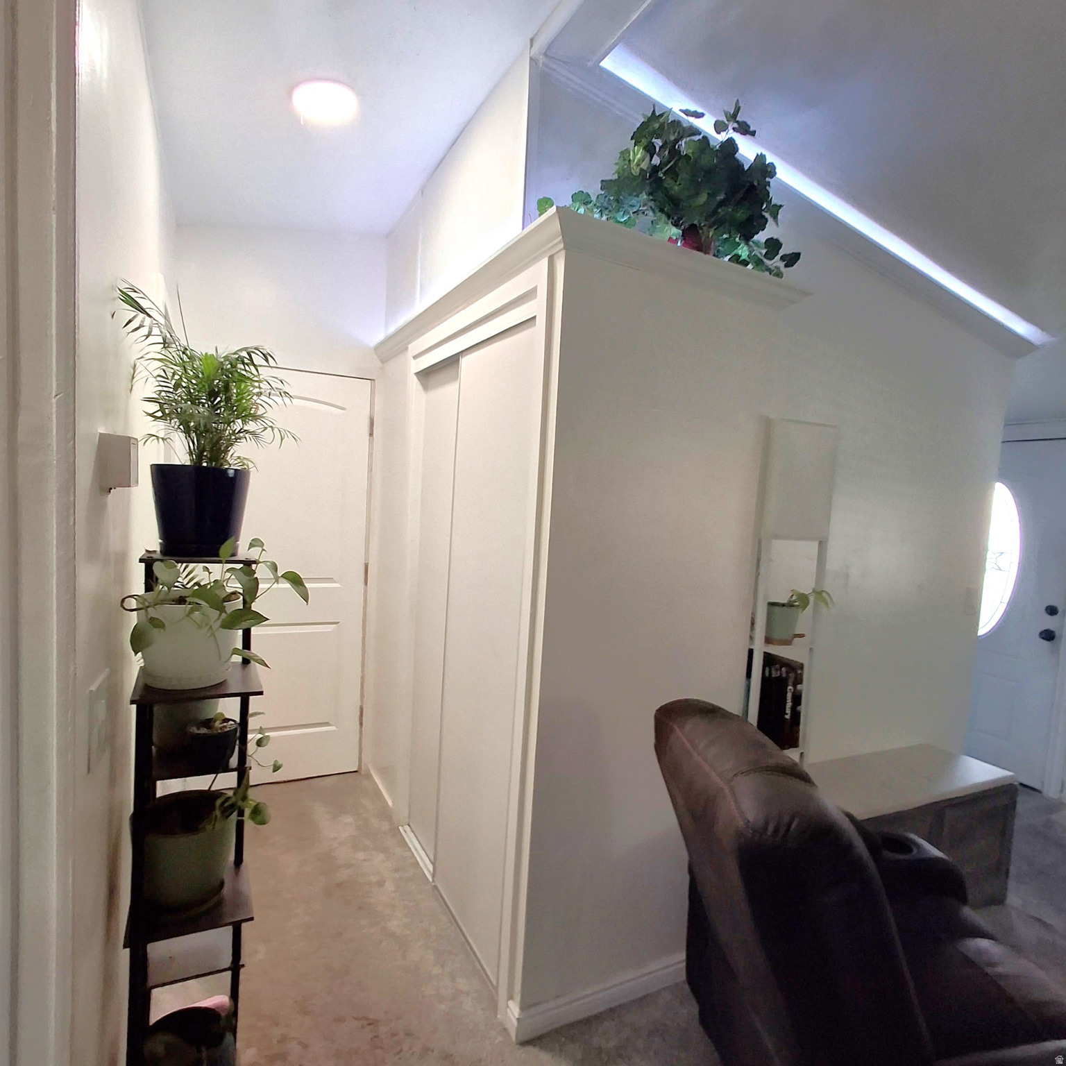 1258 W CHICKADEE