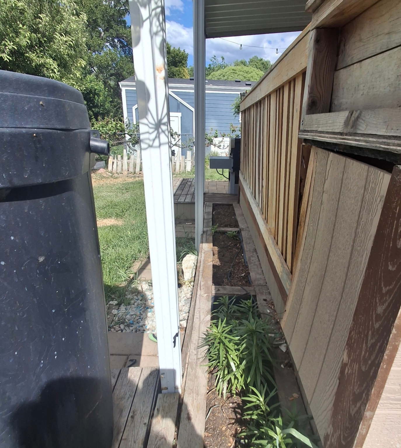 1258 W CHICKADEE