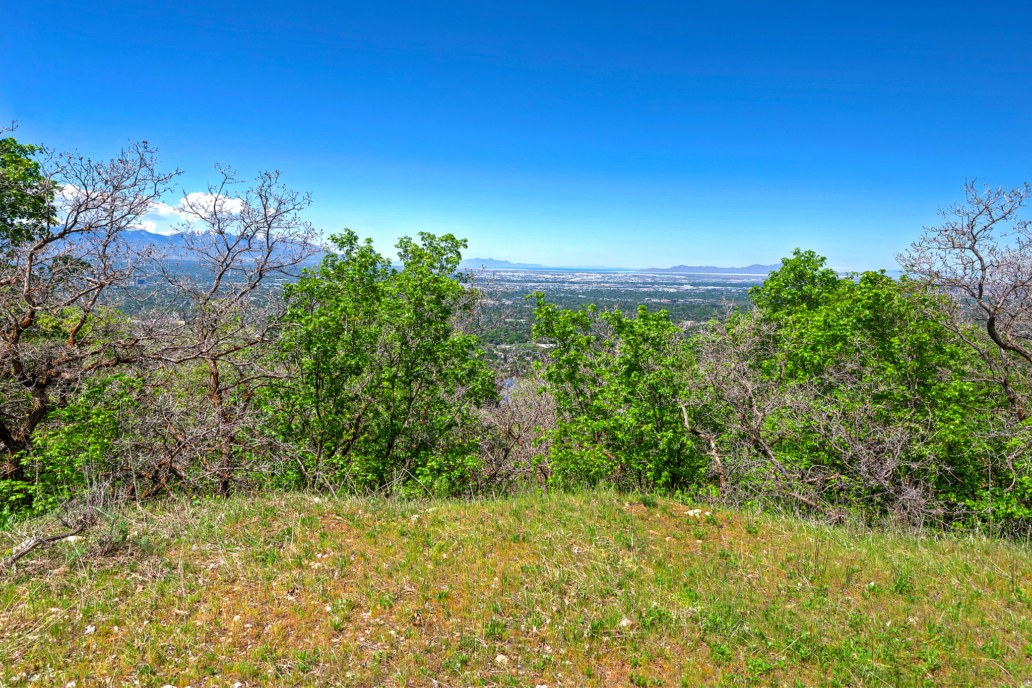 4695 S THOUSAND OAKS DR