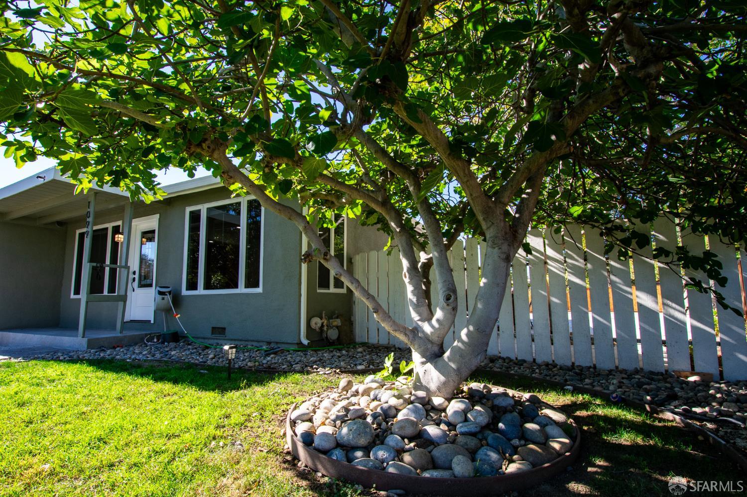 1099 Bradford Drive, Sunnyvale