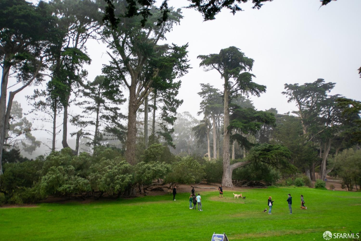 4927 California Street # A