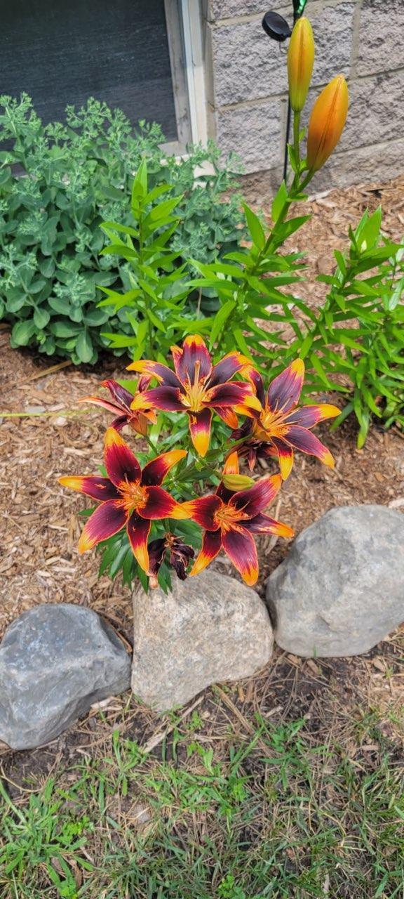 2325 317th Avenue NE