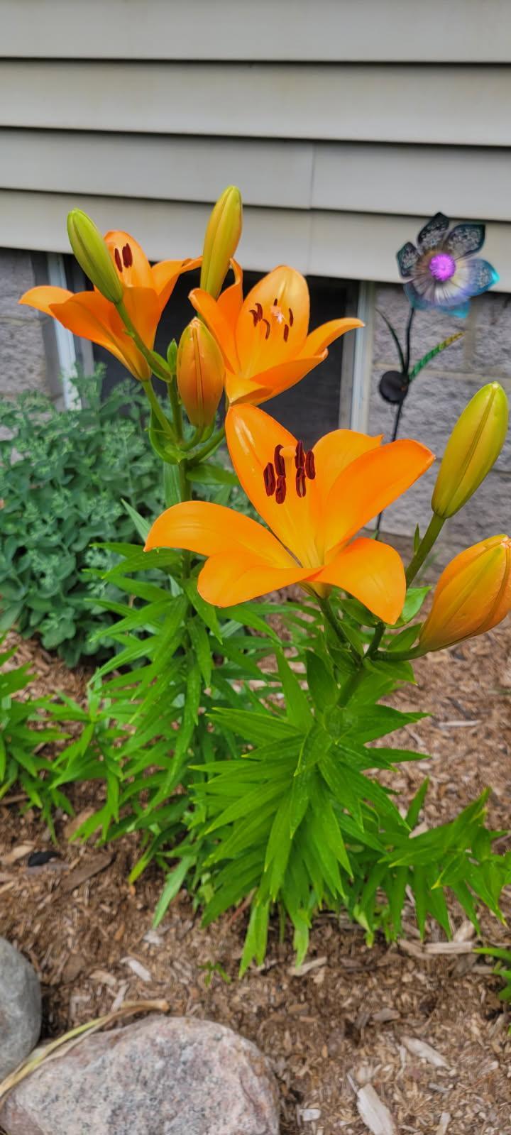 2325 317th Avenue NE