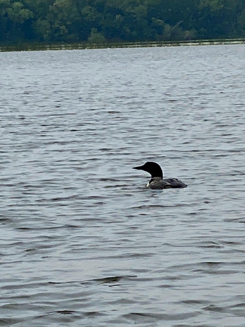 2325 317th Avenue NE