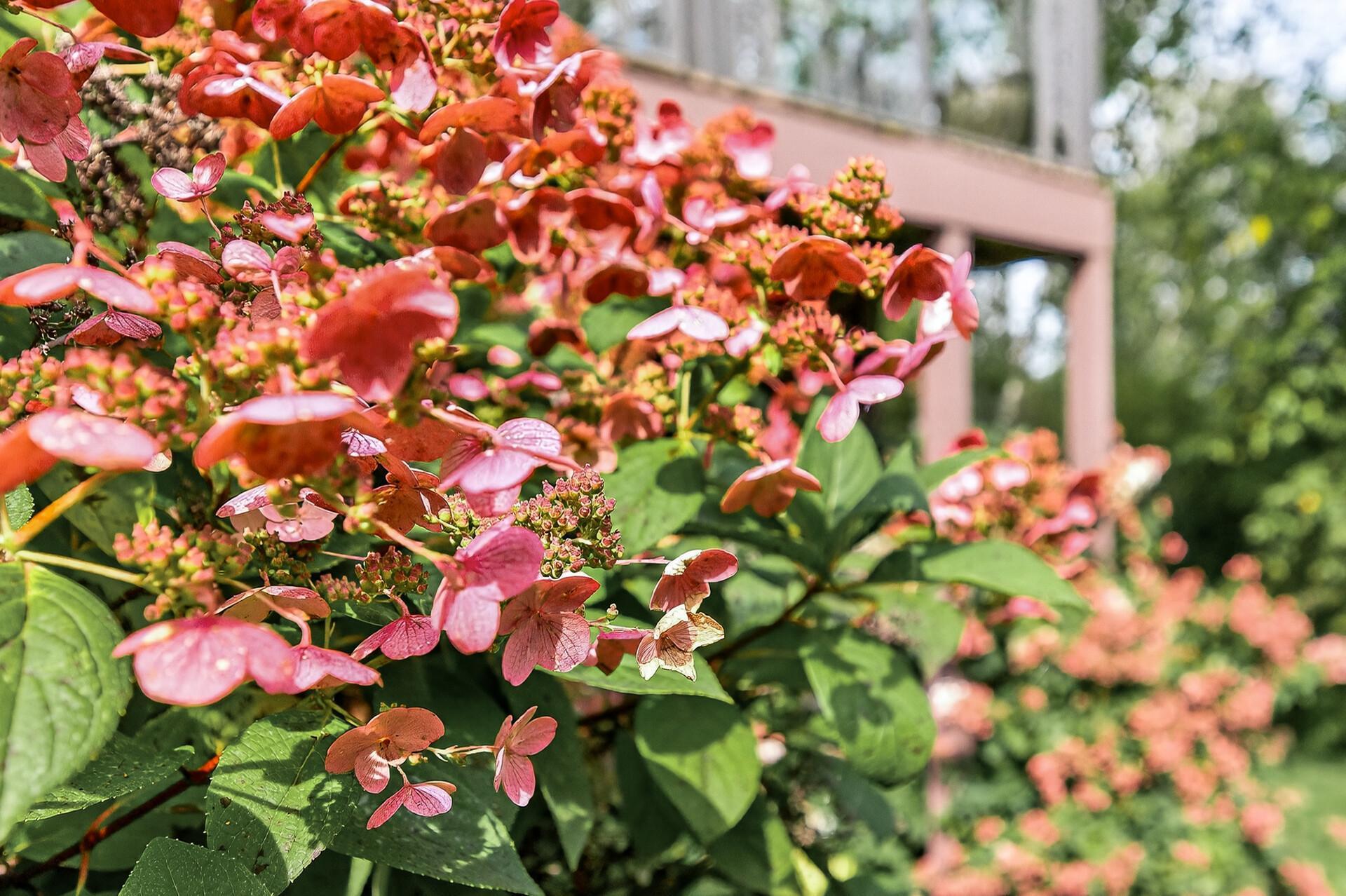 1475 162nd Avenue NW