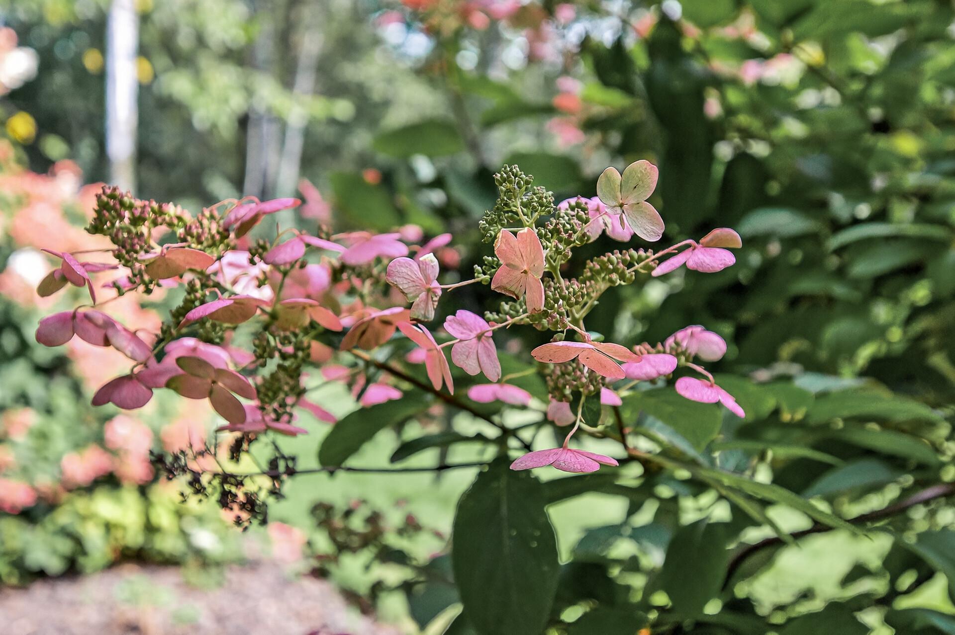 1475 162nd Avenue NW