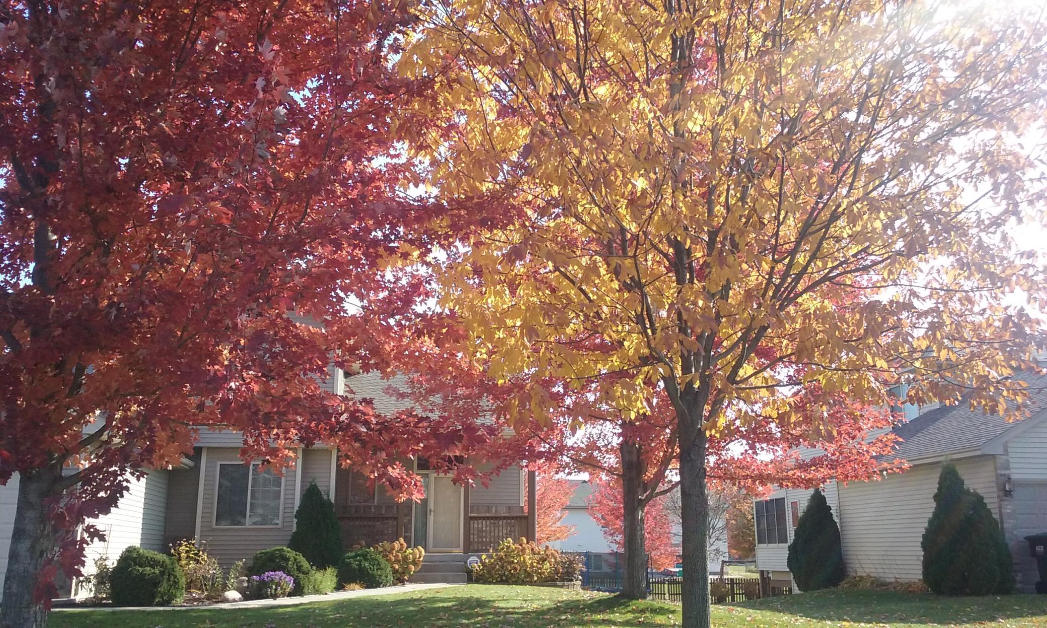 15929 Crane Street NW