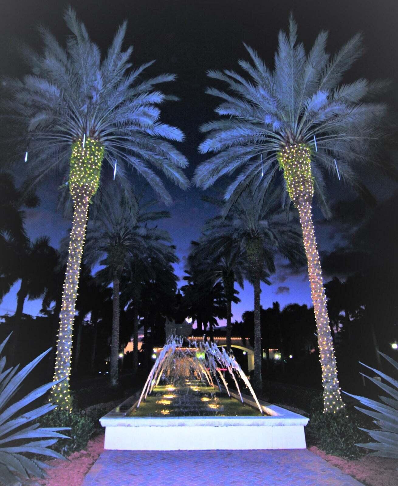 6585 Camarillo Terrace Lane