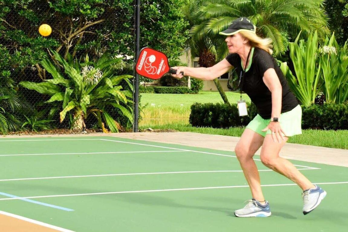 6585 Camarillo Terrace Lane