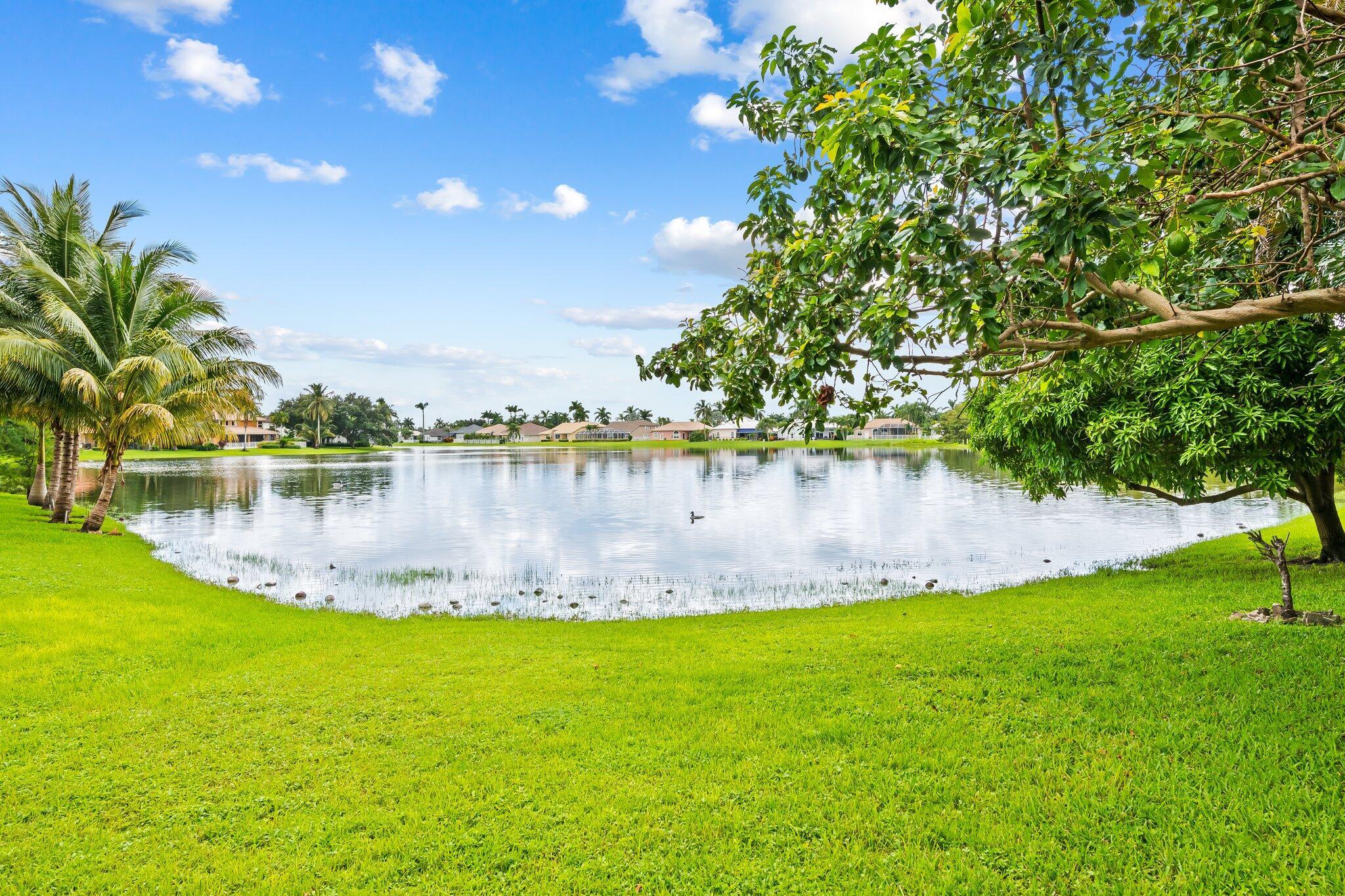 21167 Falls Ridge Way