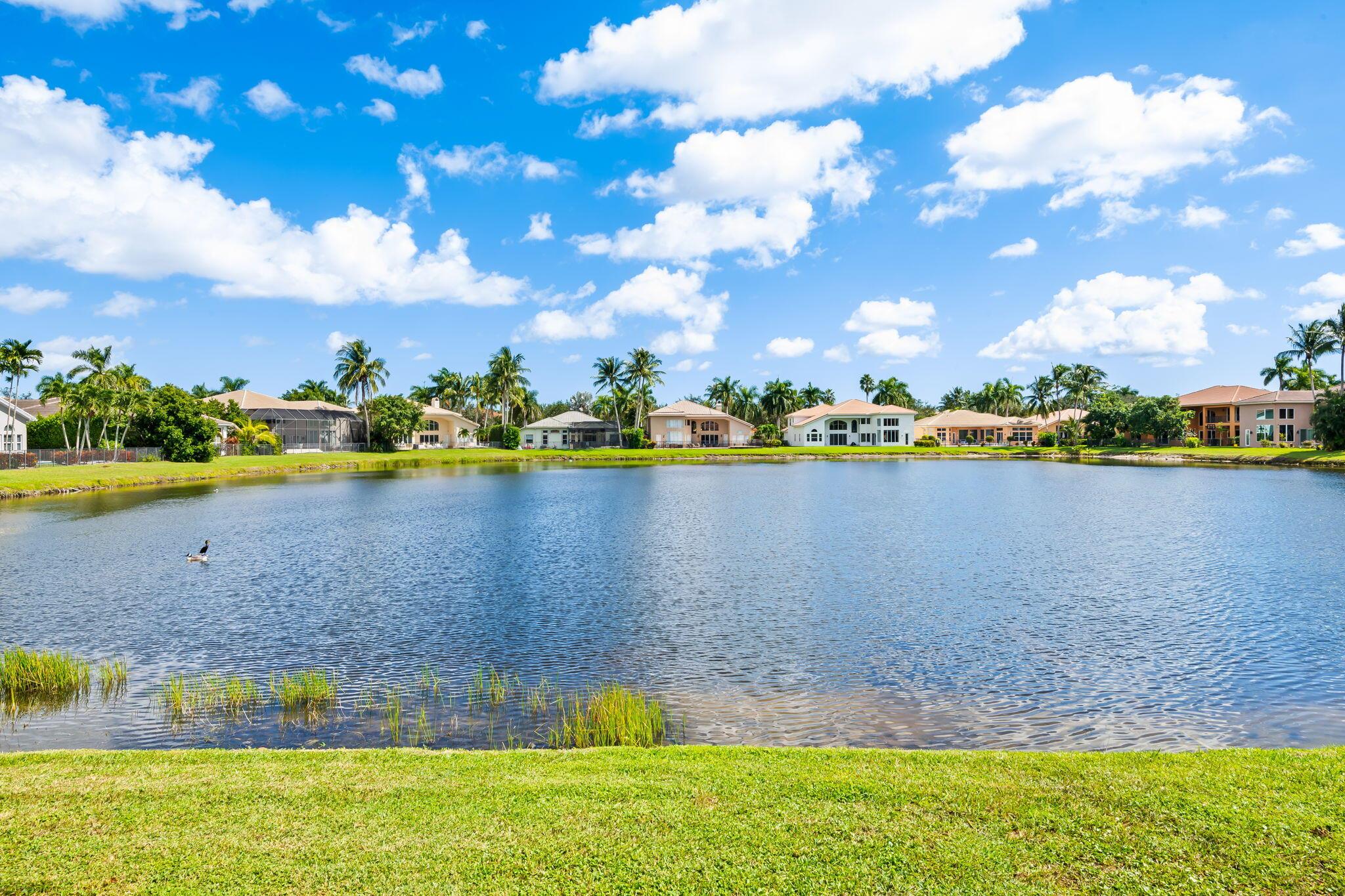 9527 Savona Winds Drive