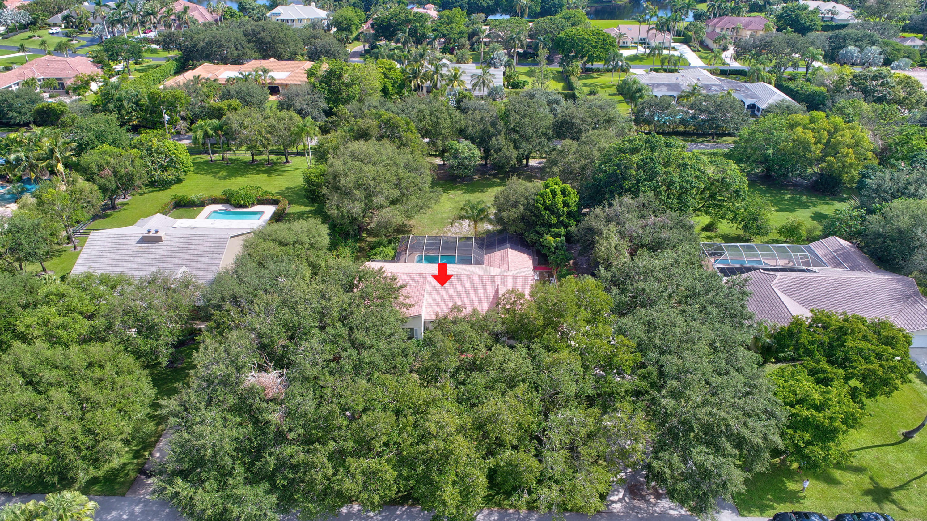 17808 Boniello Drive