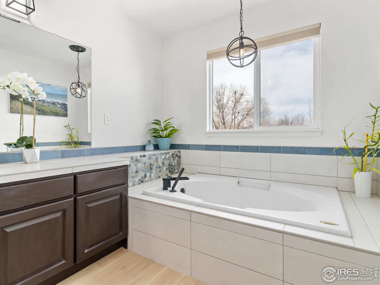 1517 Lark Bunting Pl