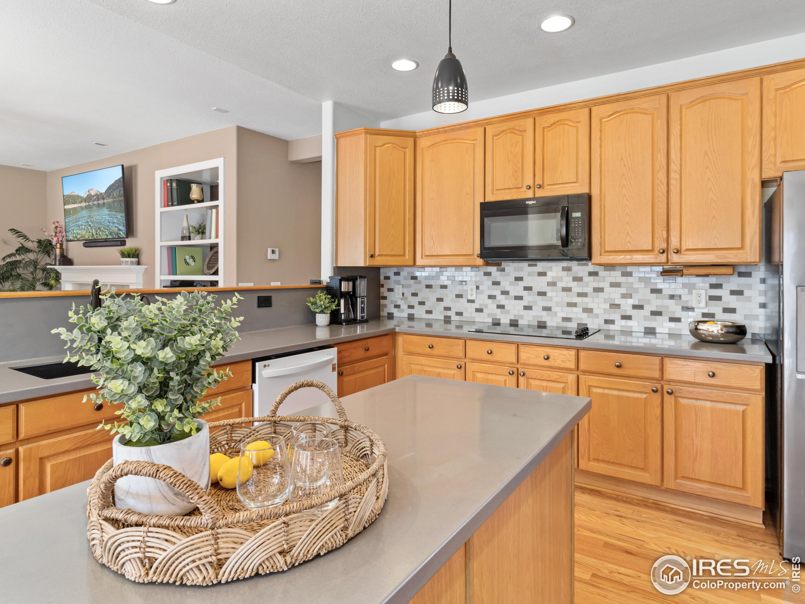 1517 Lark Bunting Pl