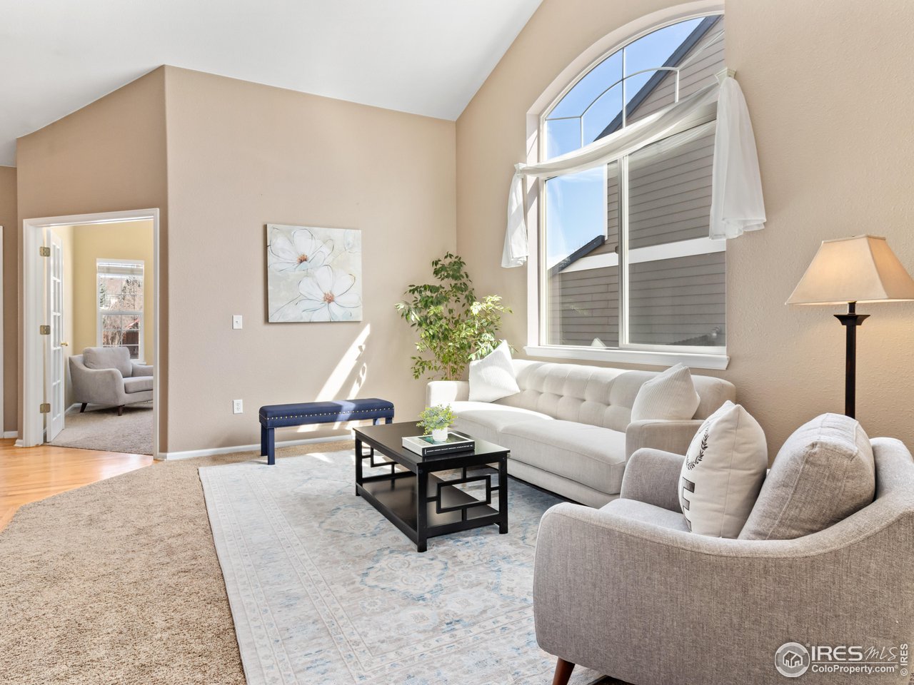 1517 Lark Bunting Pl