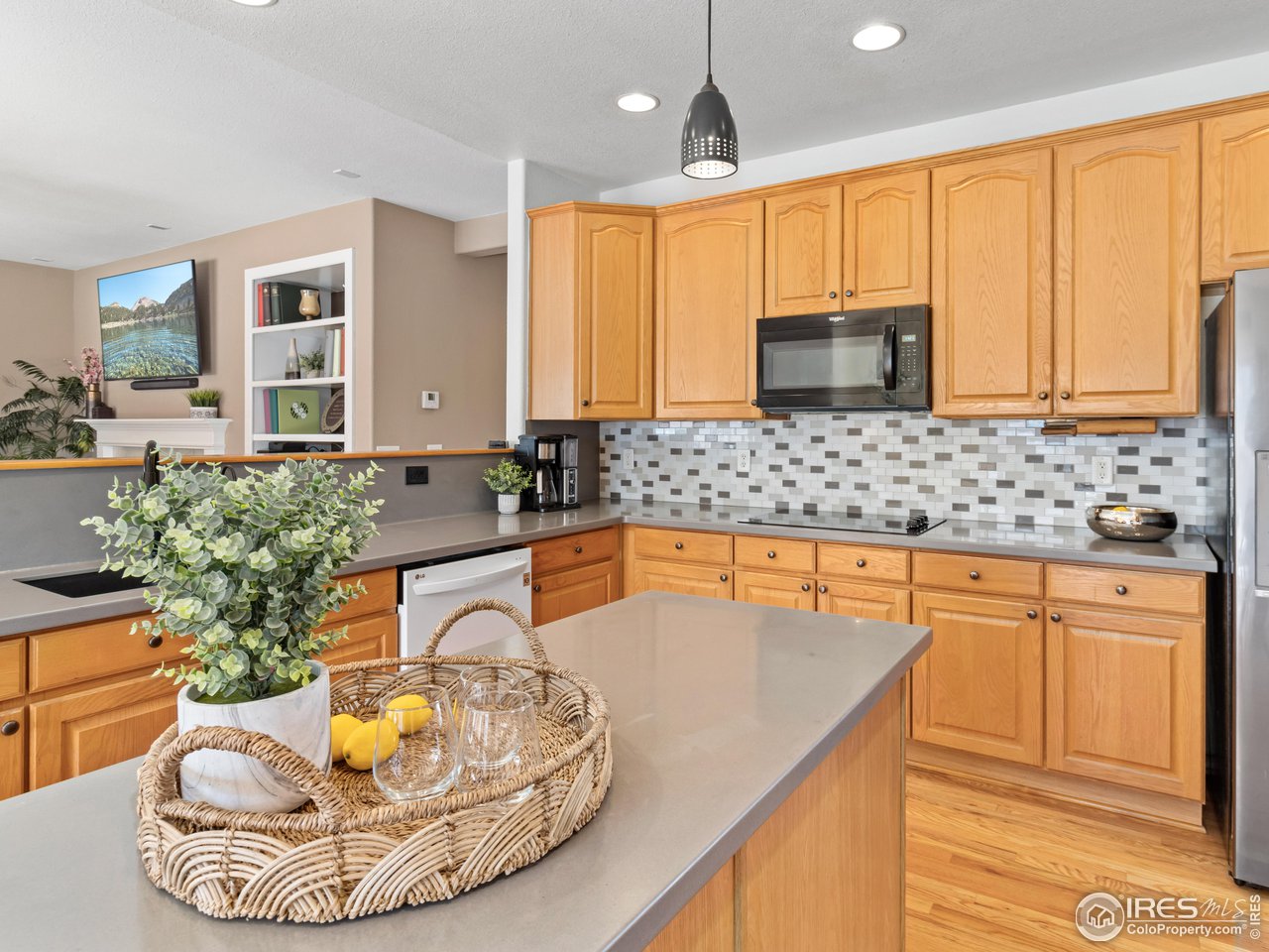 1517 Lark Bunting Pl