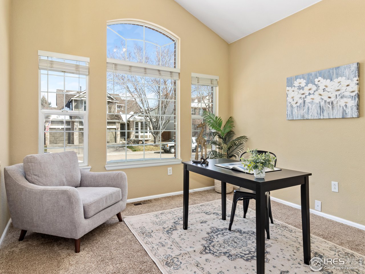 1517 Lark Bunting Pl