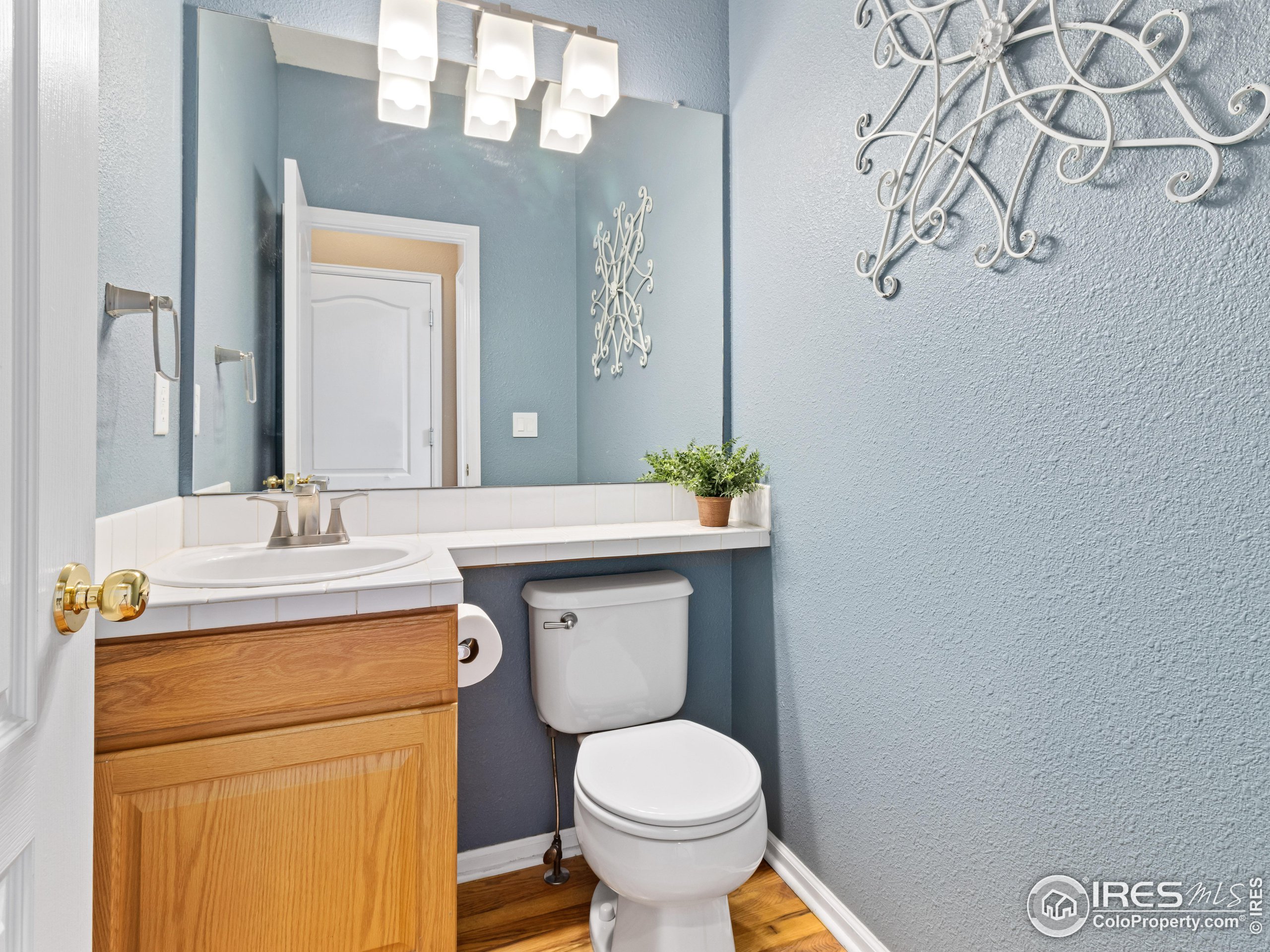 1517 Lark Bunting Pl