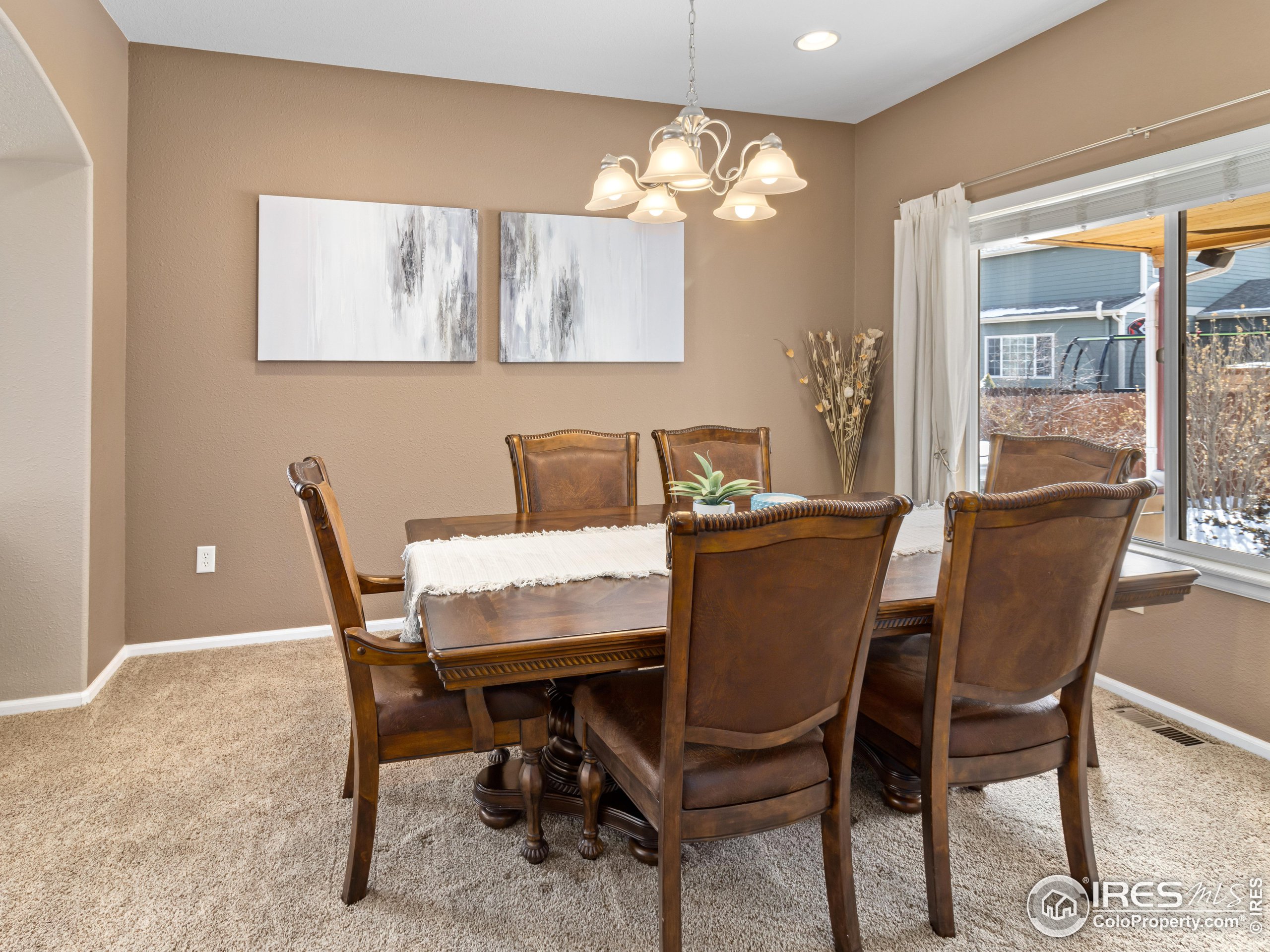 1517 Lark Bunting Pl