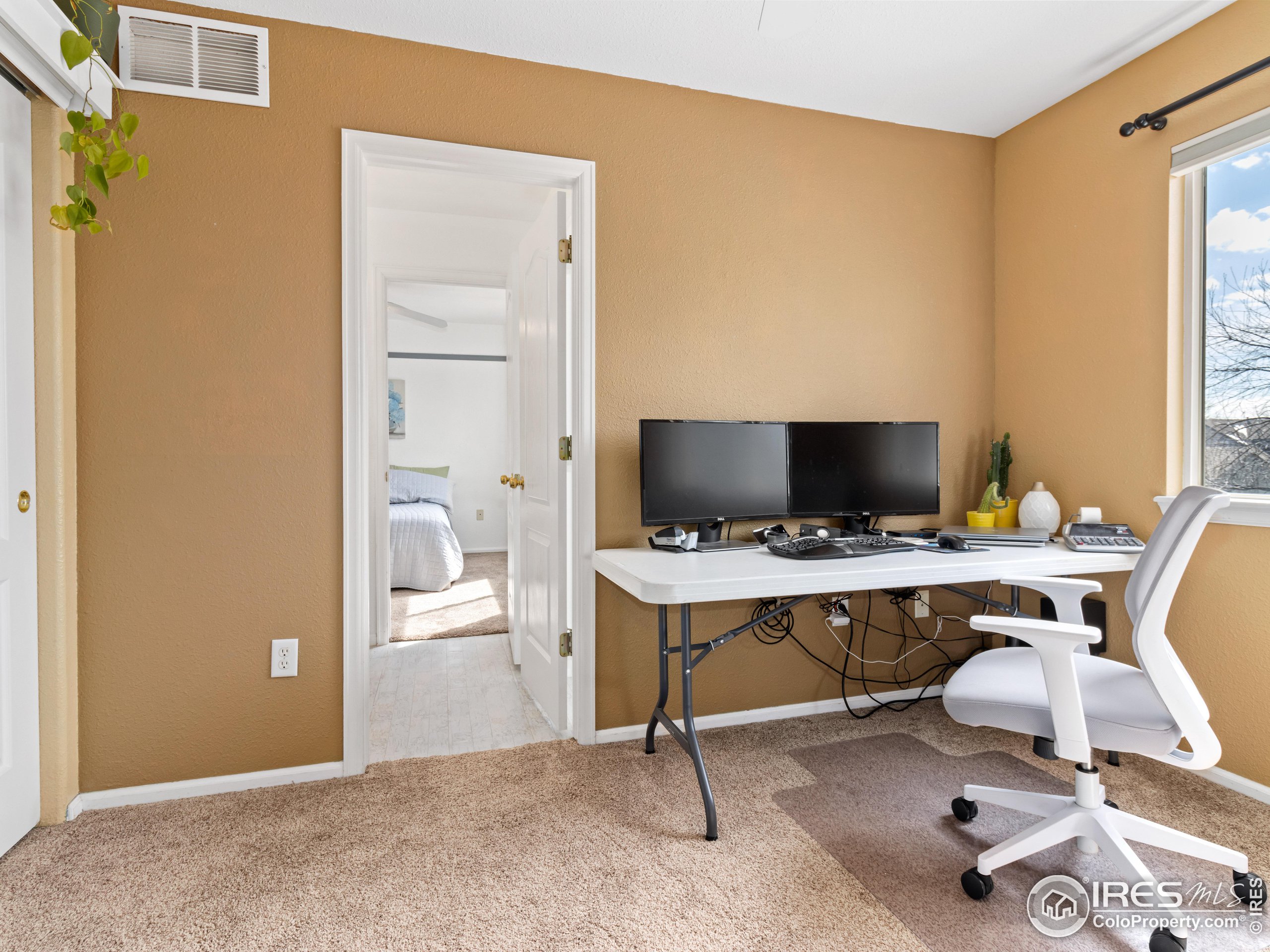 1517 Lark Bunting Pl