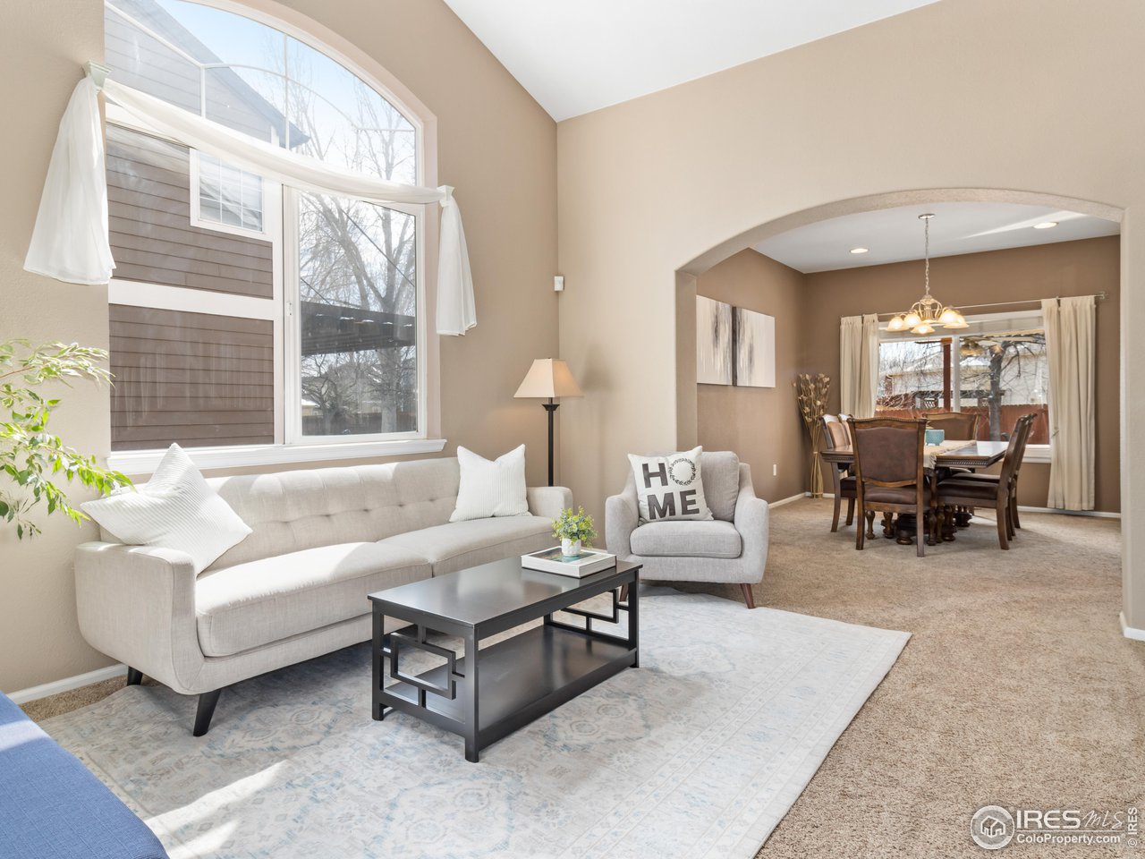 1517 Lark Bunting Pl