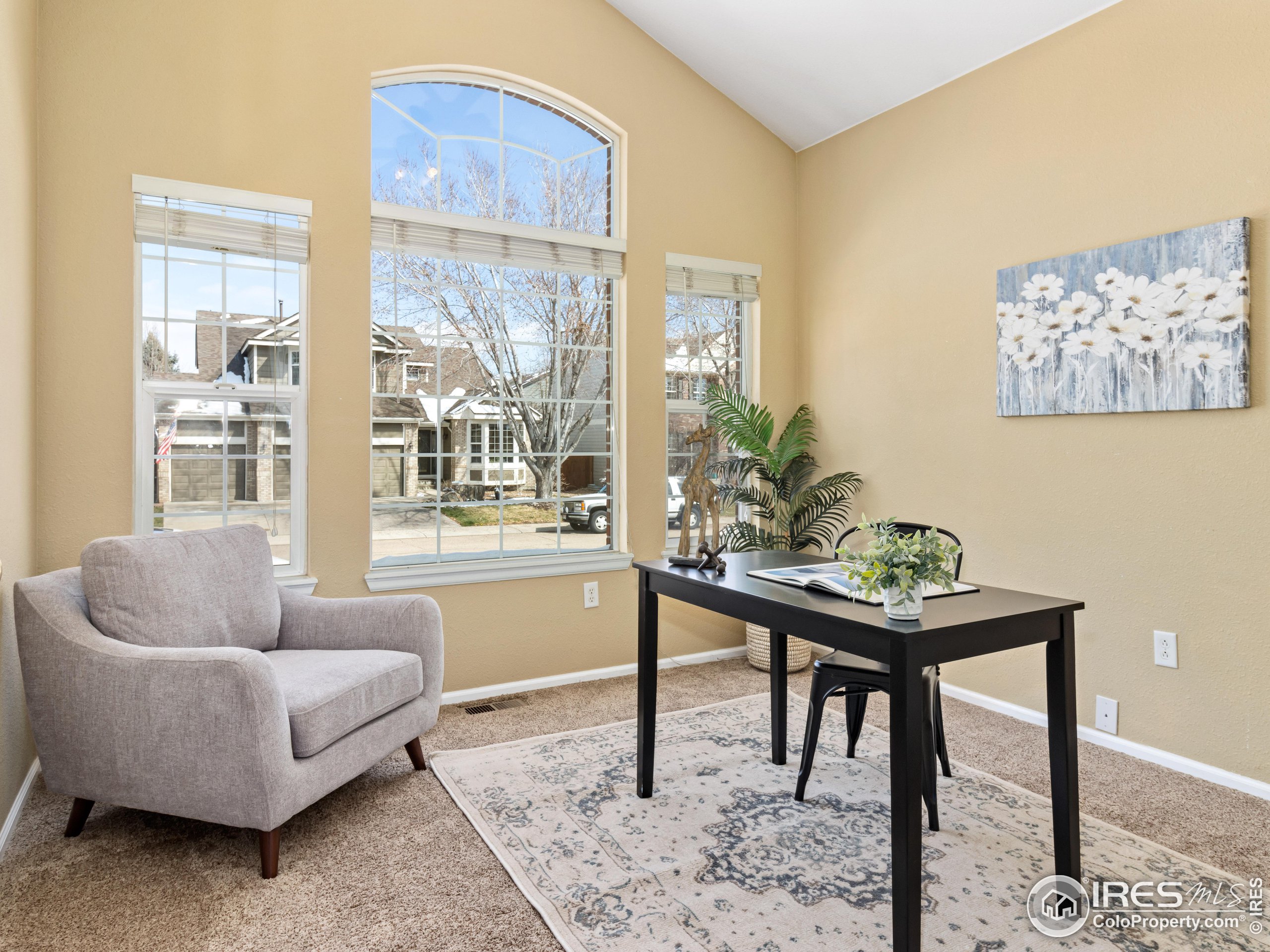 1517 Lark Bunting Pl