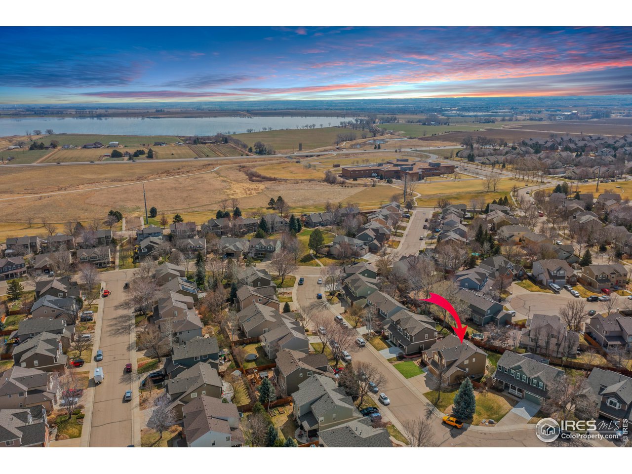 1517 Lark Bunting Pl