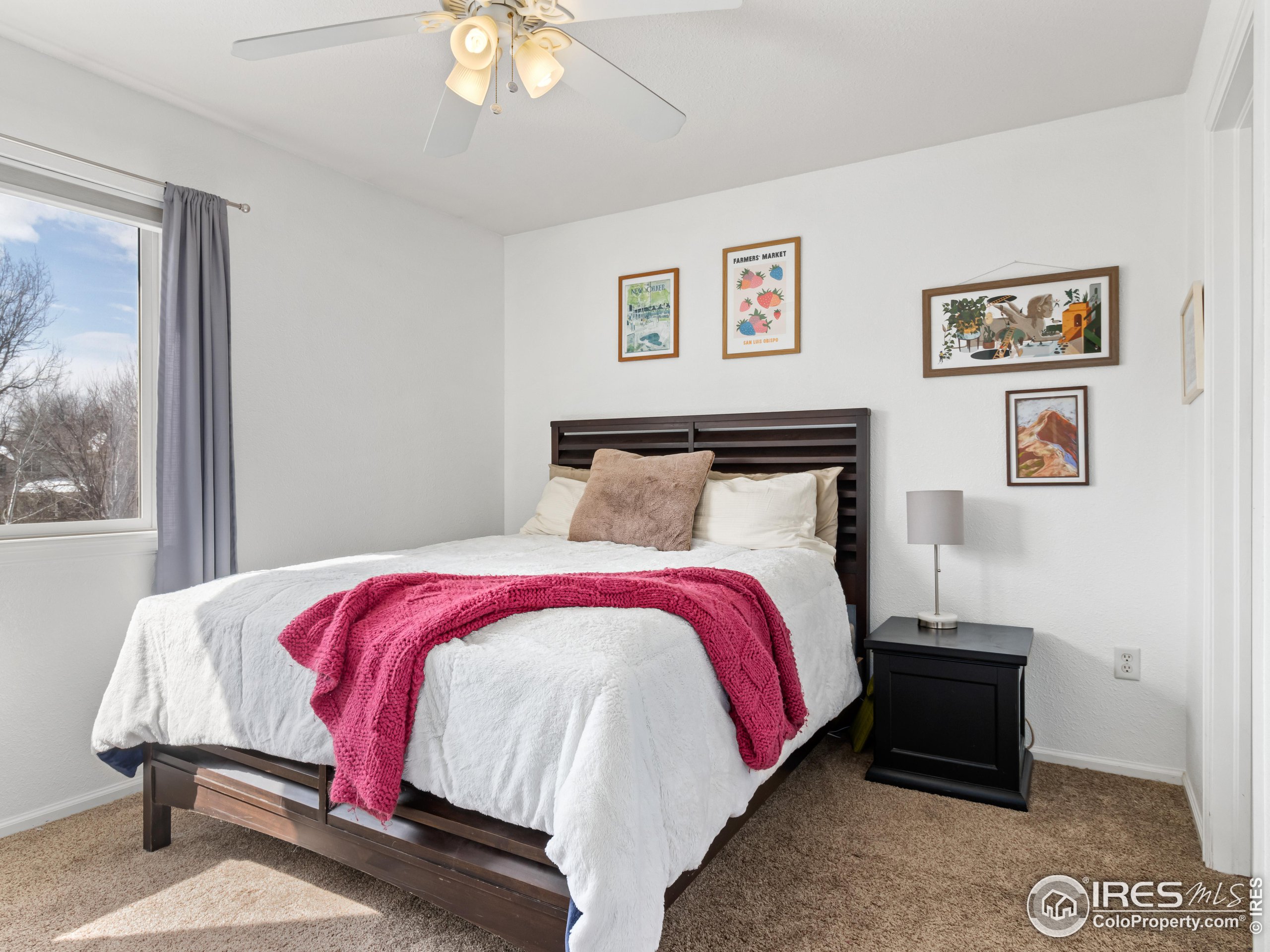 1517 Lark Bunting Pl