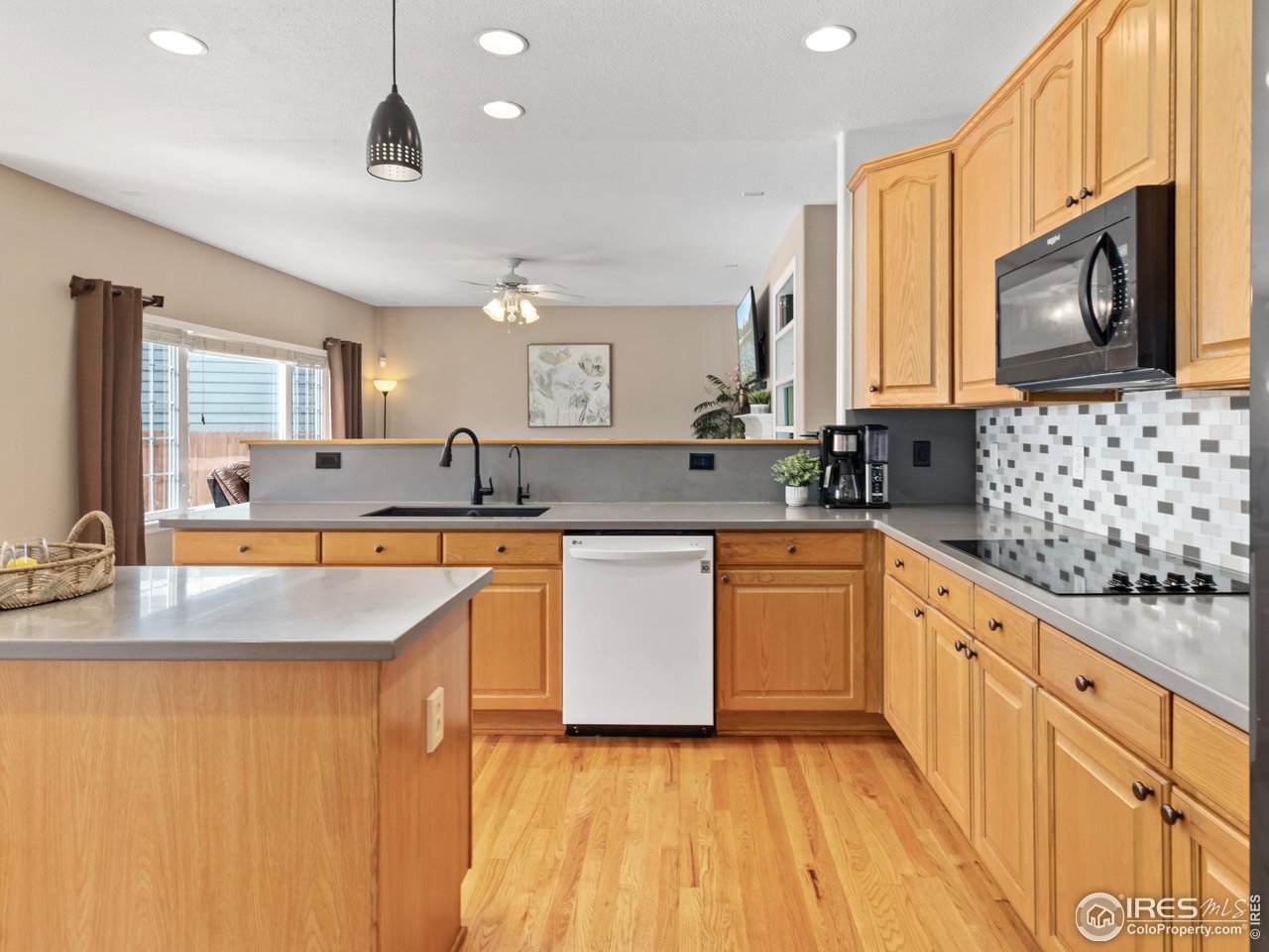 1517 Lark Bunting Pl