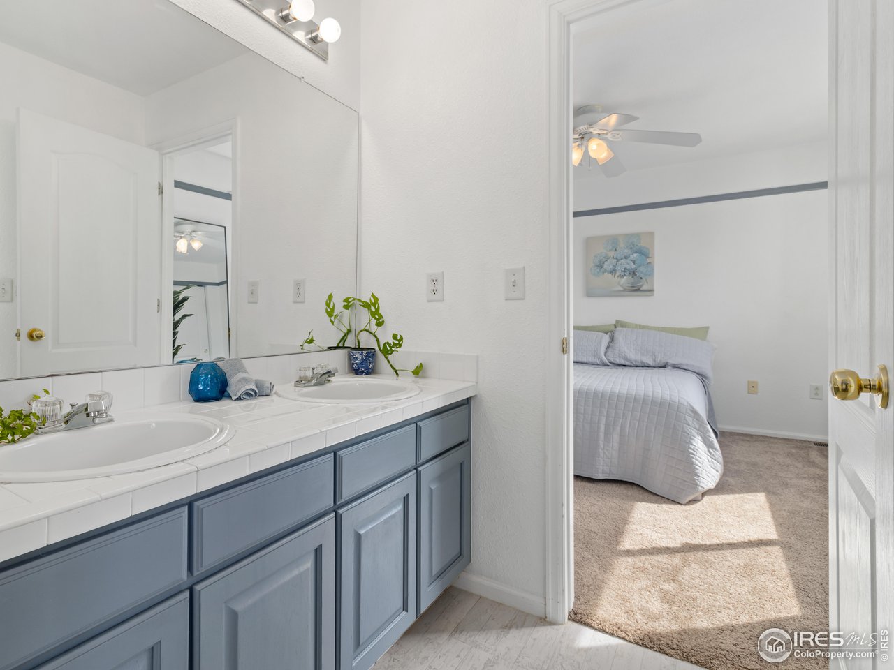 1517 Lark Bunting Pl