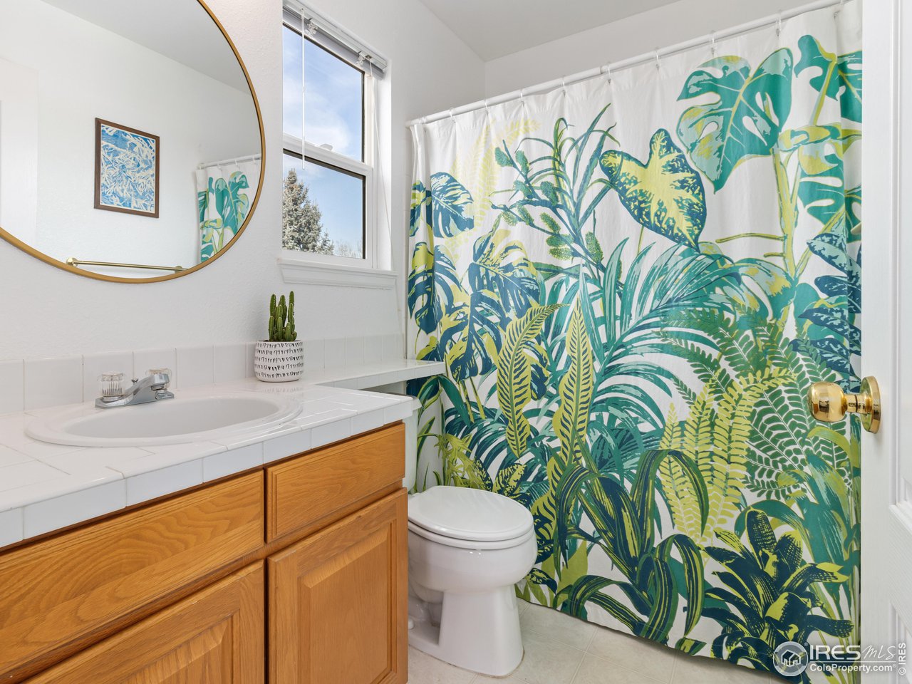 1517 Lark Bunting Pl