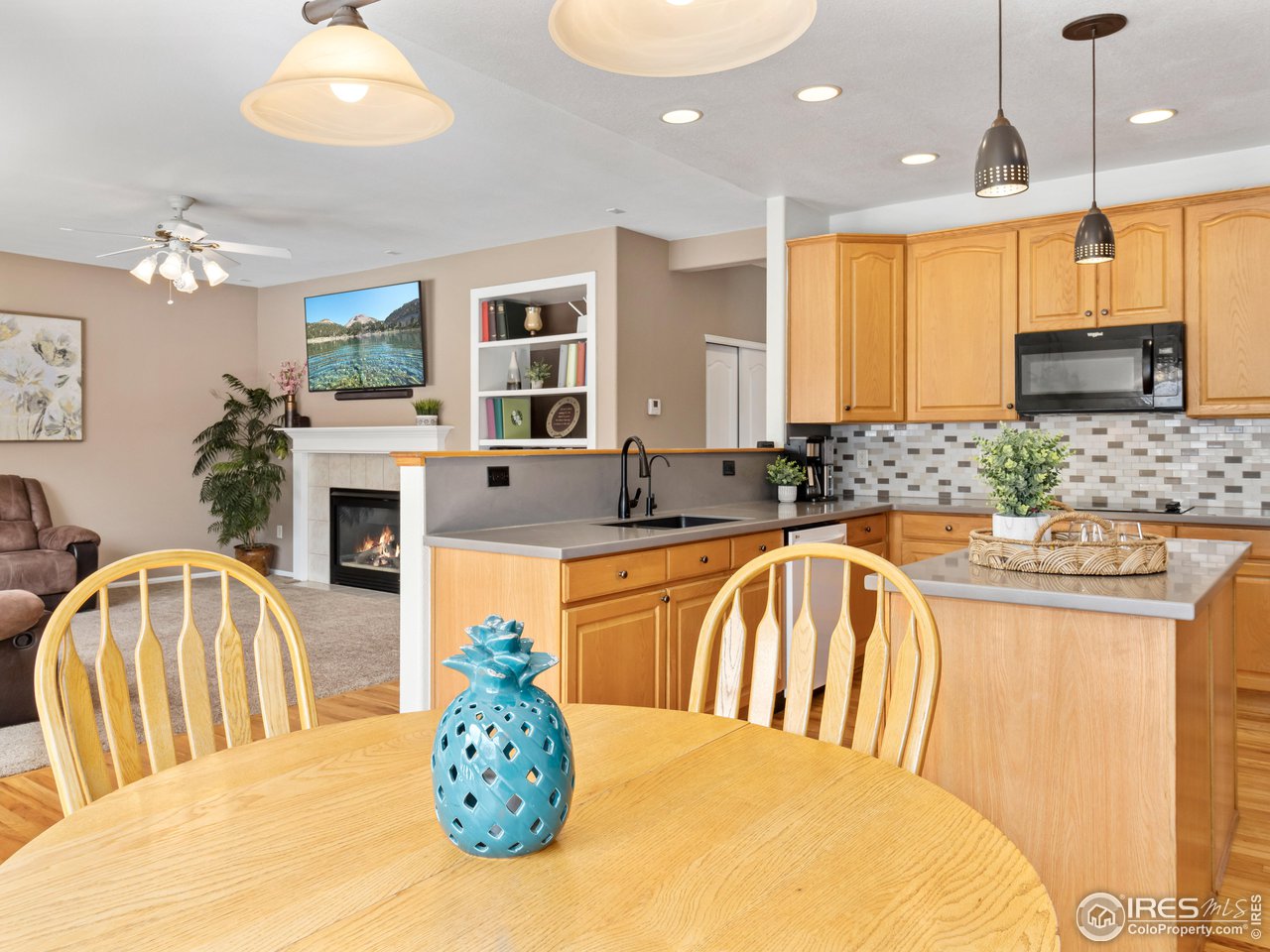 1517 Lark Bunting Pl