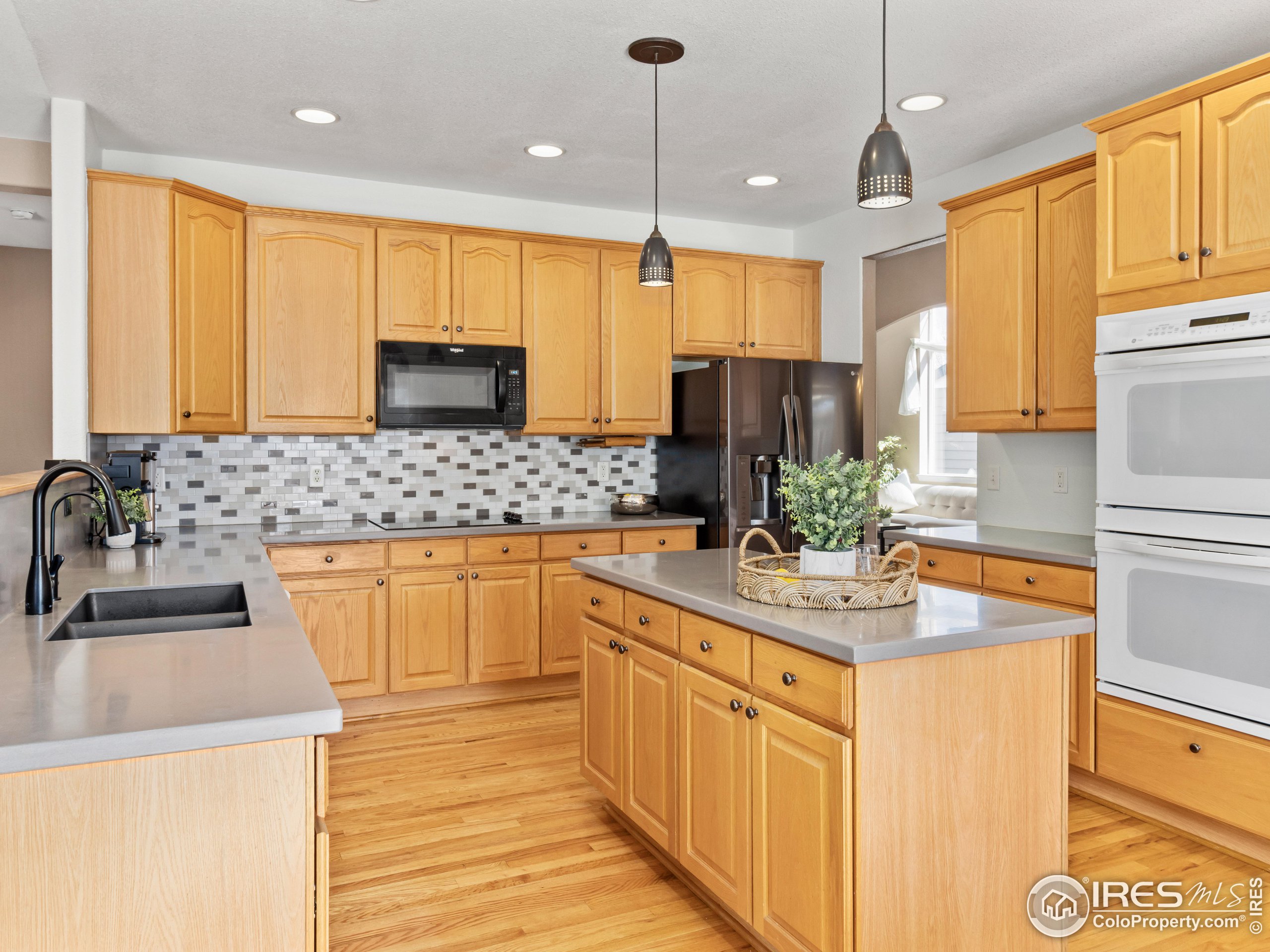 1517 Lark Bunting Pl