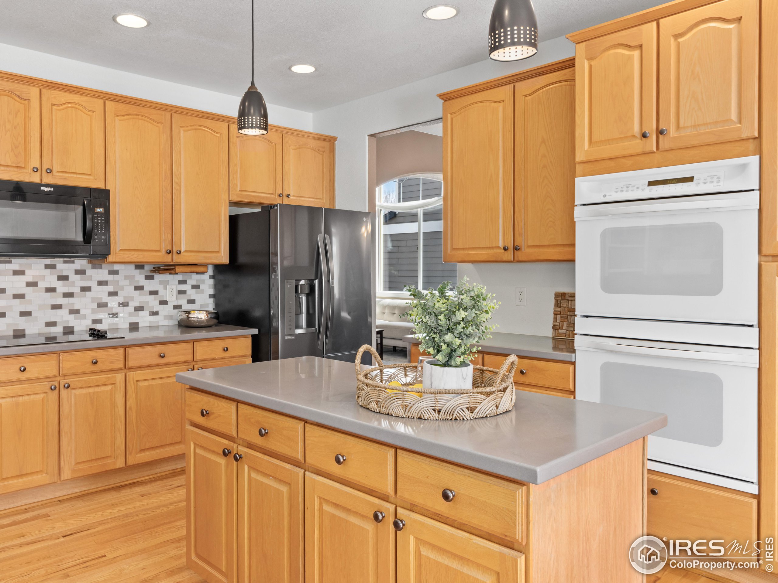 1517 Lark Bunting Pl