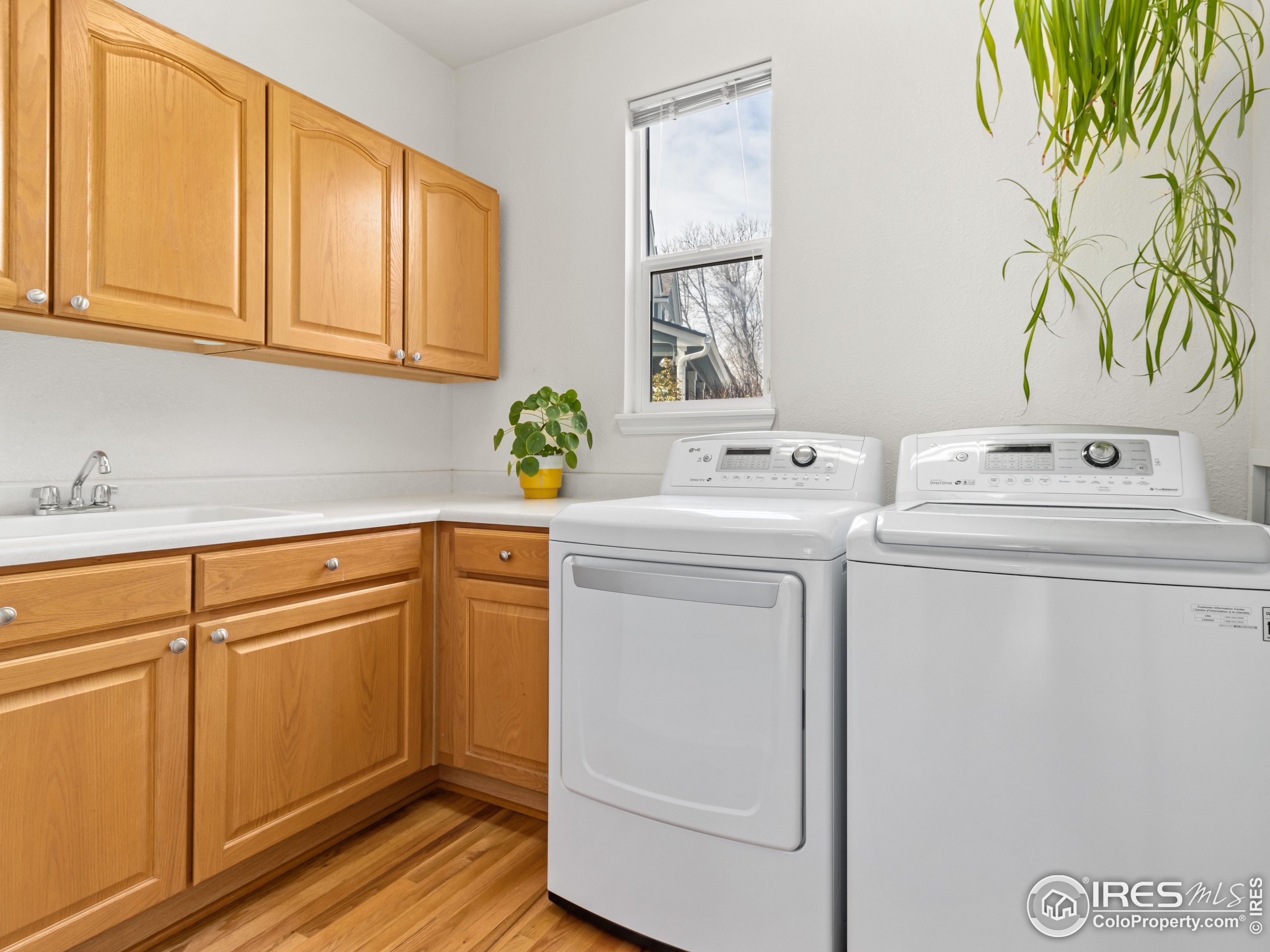 1517 Lark Bunting Pl